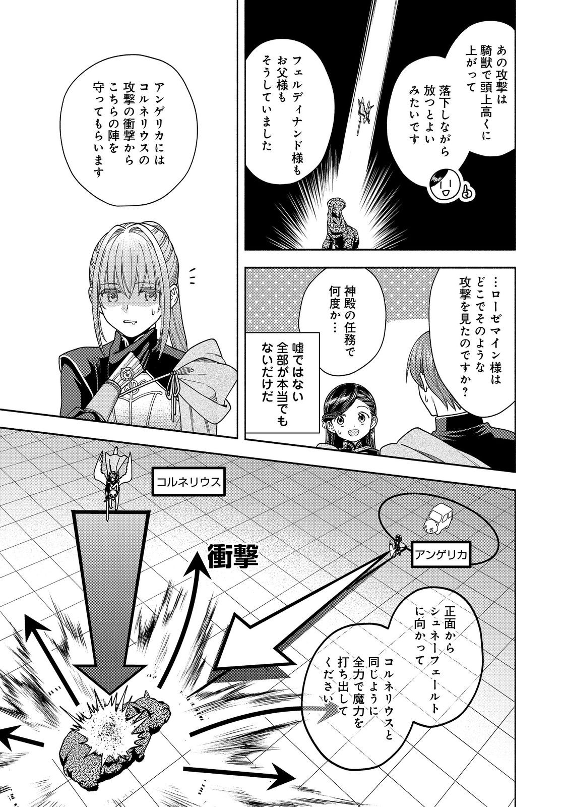 本好きの下剋上【第四部】 - 第30話 - Page 11