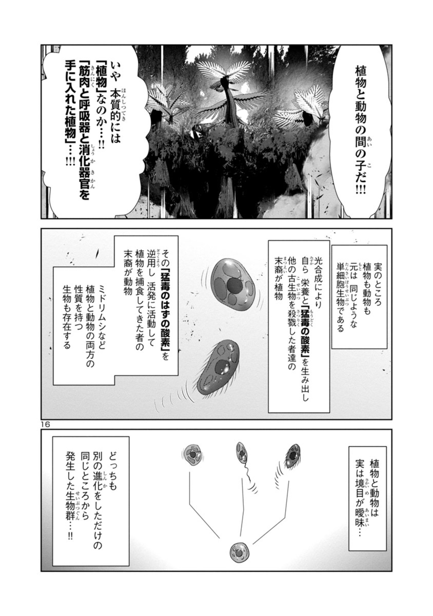 科学的に存在しうるクリーチャー娘の観察日誌 - 第58話 - Page 16