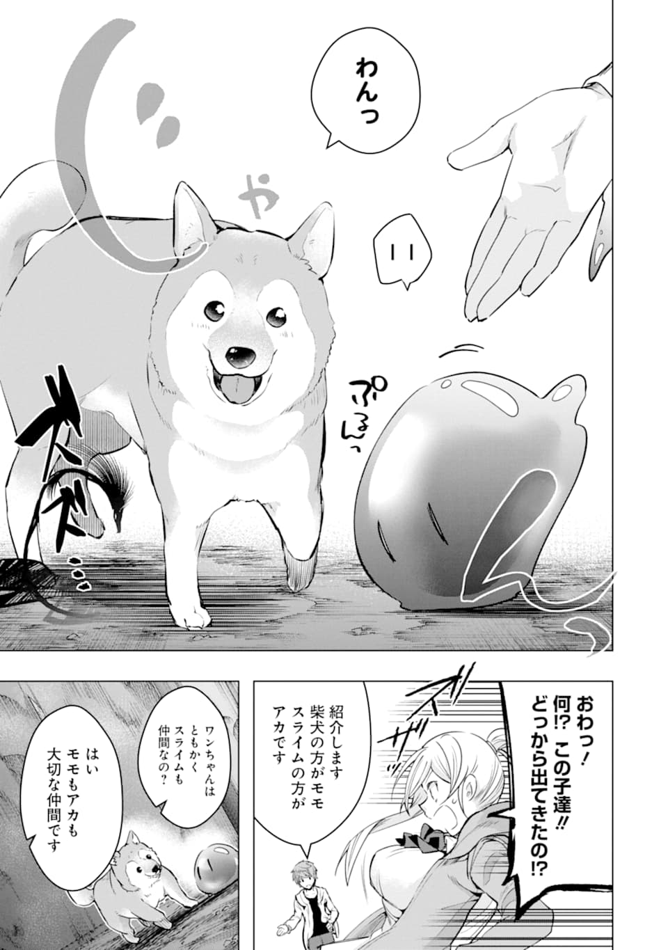 モンスターがあふれる世界になったので、好きに生きたいと思います - 第26話 - Page 49