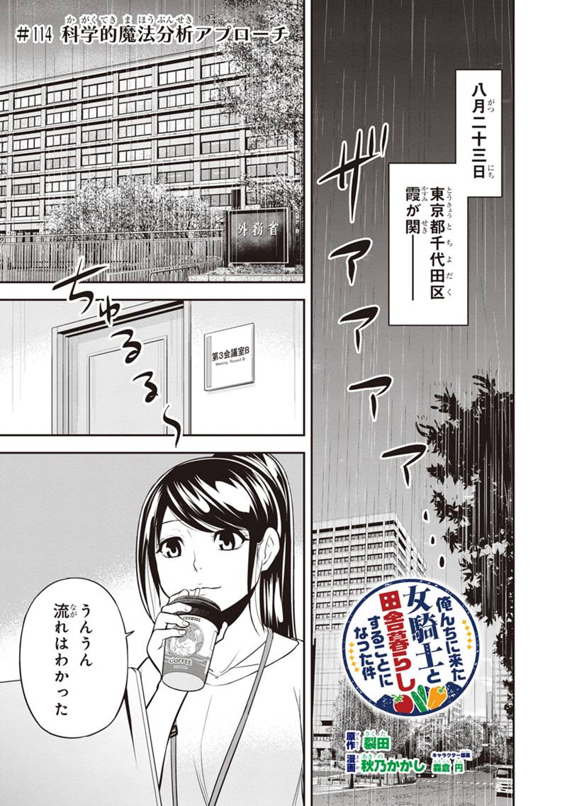 俺んちに来た女騎士と田舎暮らしすることになった件 - 第114話 - Page 1