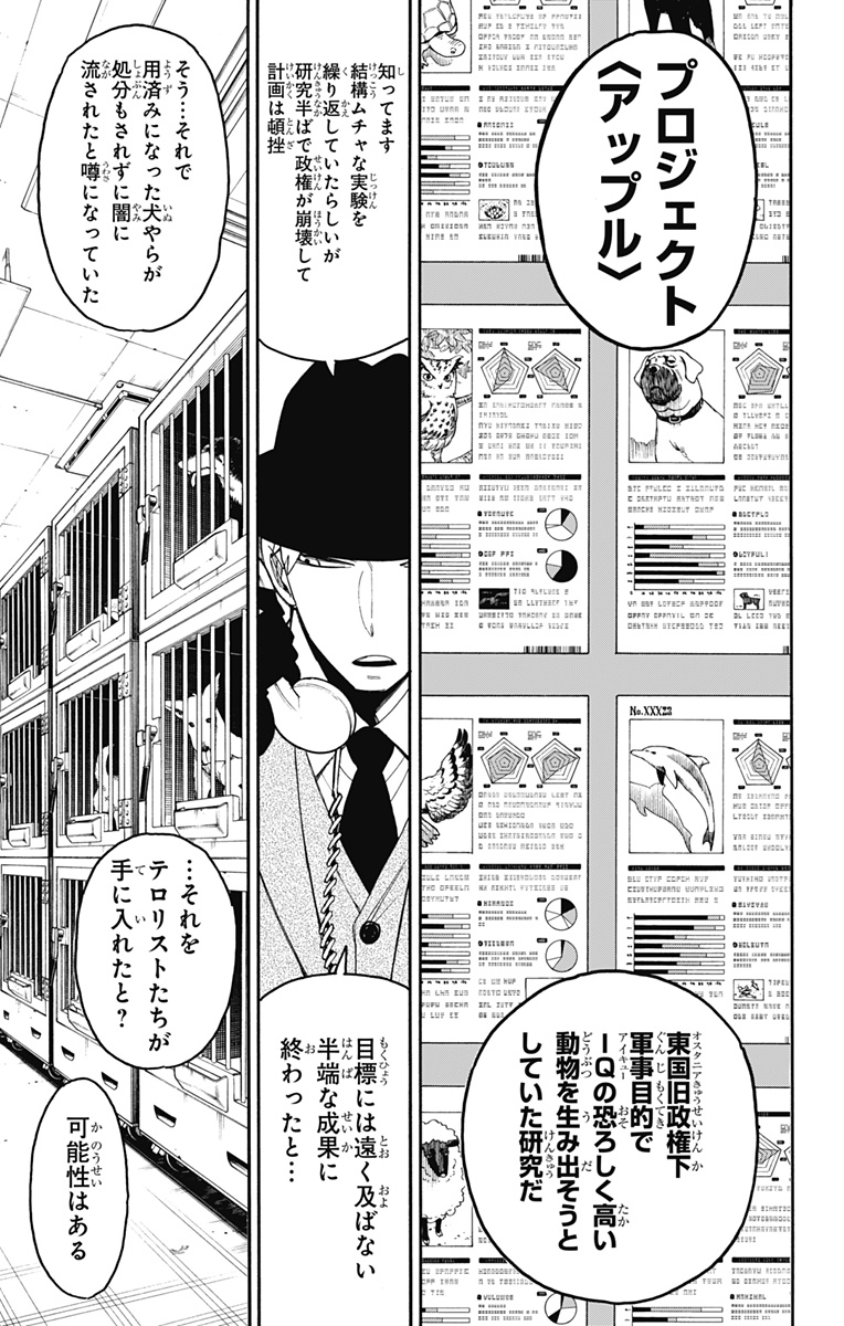 Spy X Family - 第19話 - Page 7