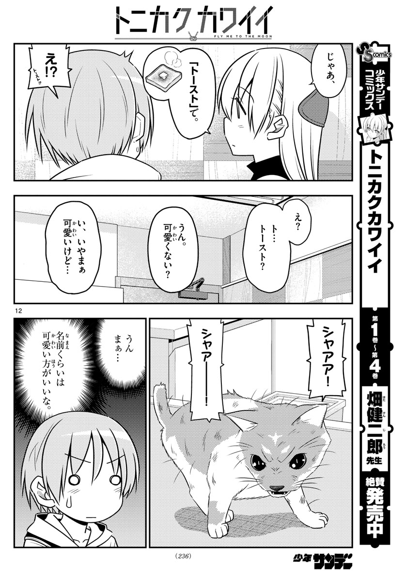 トニカクカワイイ - 第51話 - Page 12