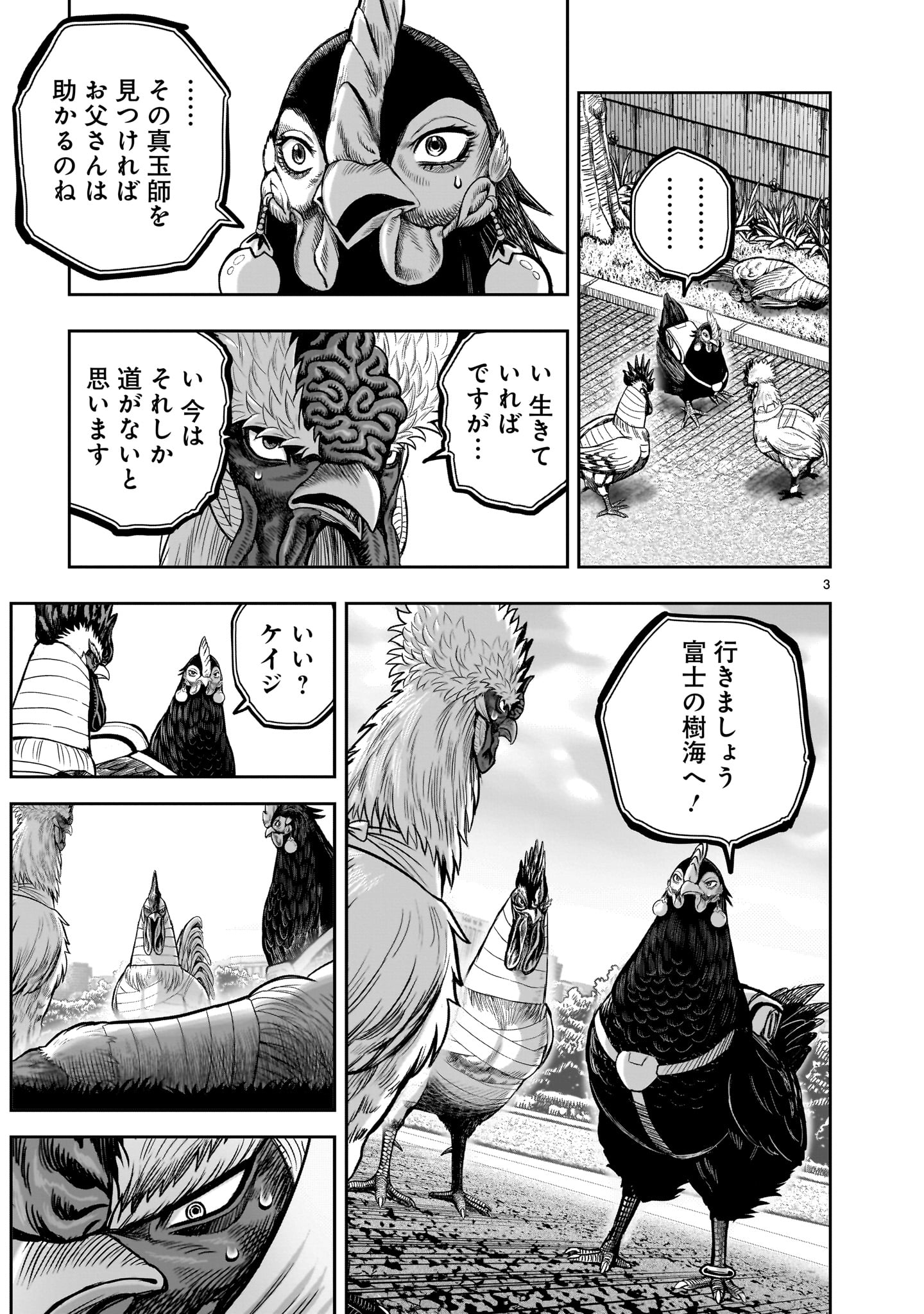 ニワトリ・ファイター - 第35話 - Page 3