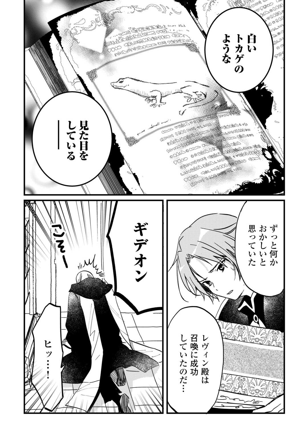 トカゲ（本当は神竜）を召喚した聖獣使い、竜の背中で開拓ライフ - 第5話 - Page 24