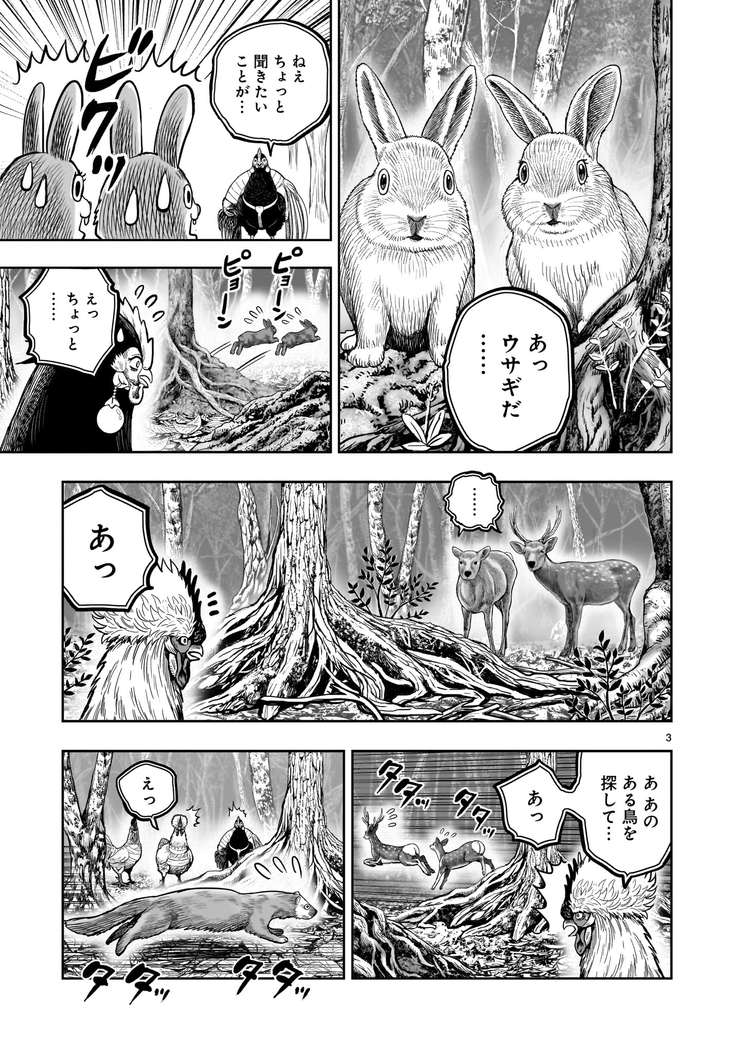 ニワトリ・ファイター - 第37話 - Page 3