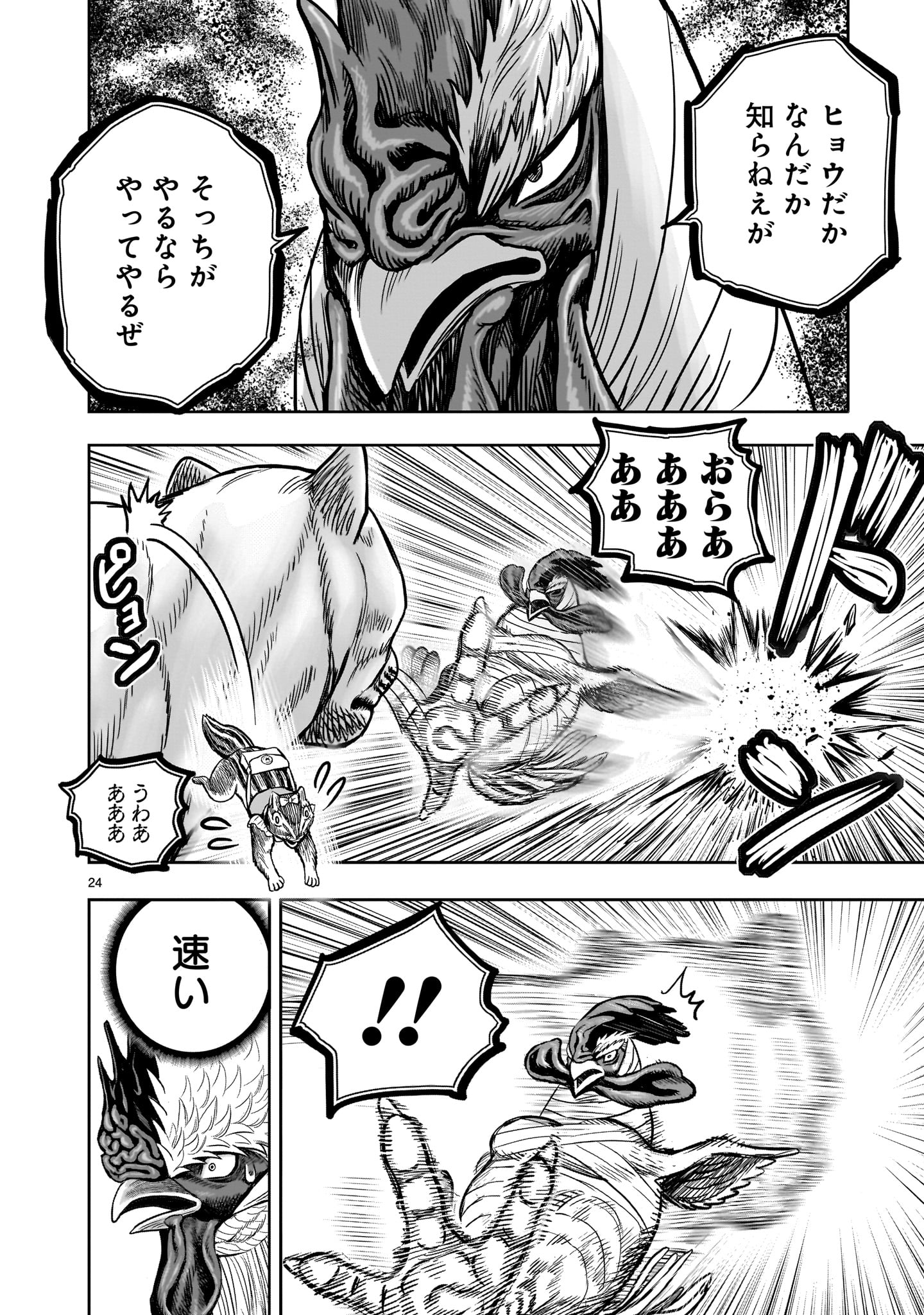 ニワトリ・ファイター - 第37話 - Page 24