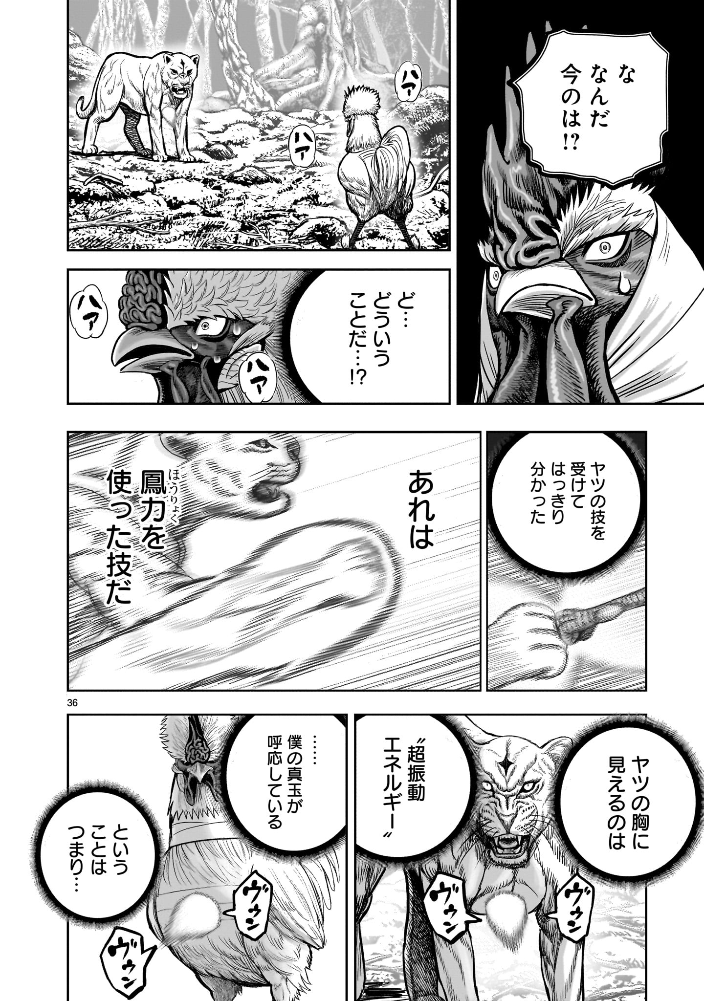 ニワトリ・ファイター - 第37話 - Page 36