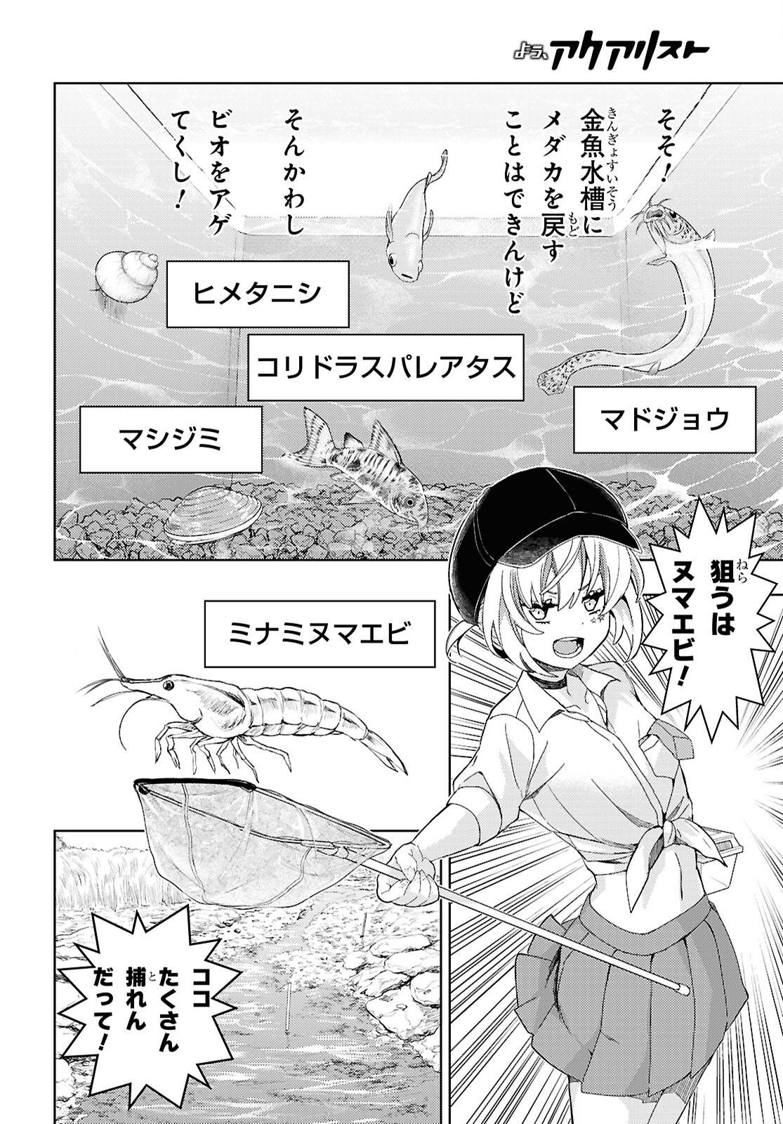 よう、アクアリスト - 第9話 - Page 12