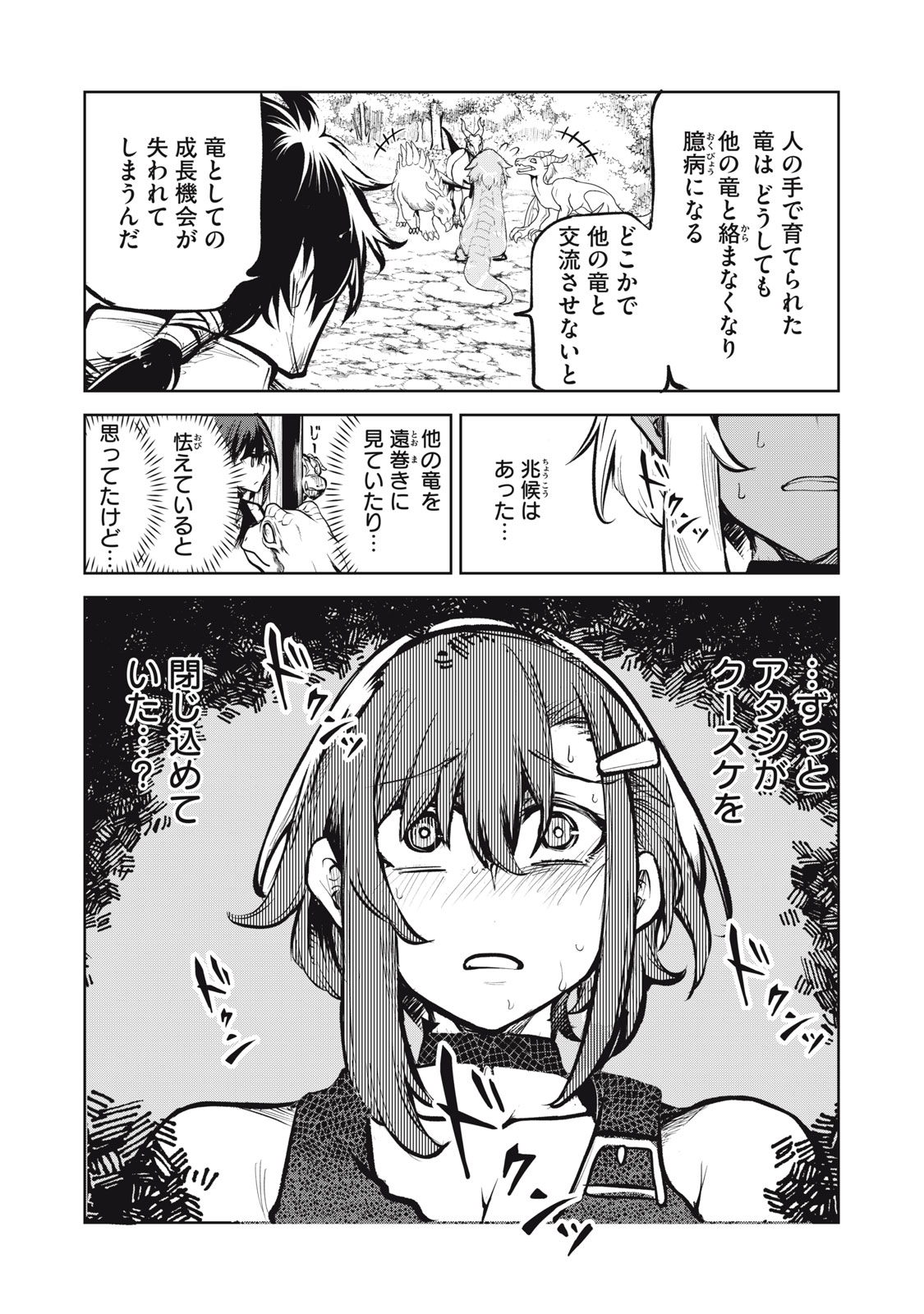 国を追われた竜師さん、拾われた隣国でうっかり無双してしまう。〜弱小国家が大陸最強の竜の楽園になるまで〜 第3.2話 - Trang 8