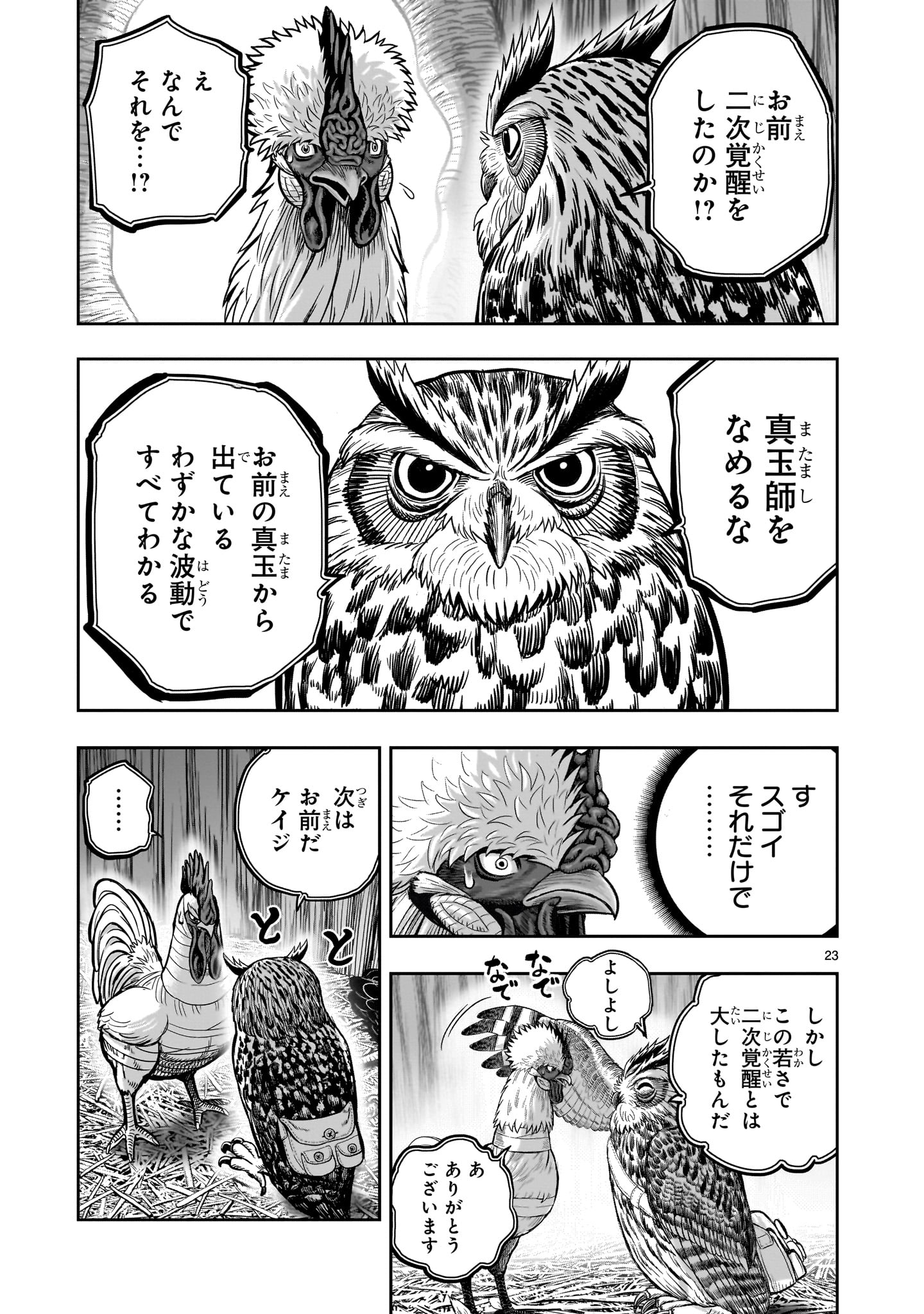 ニワトリ・ファイター - 第38話 - Page 23