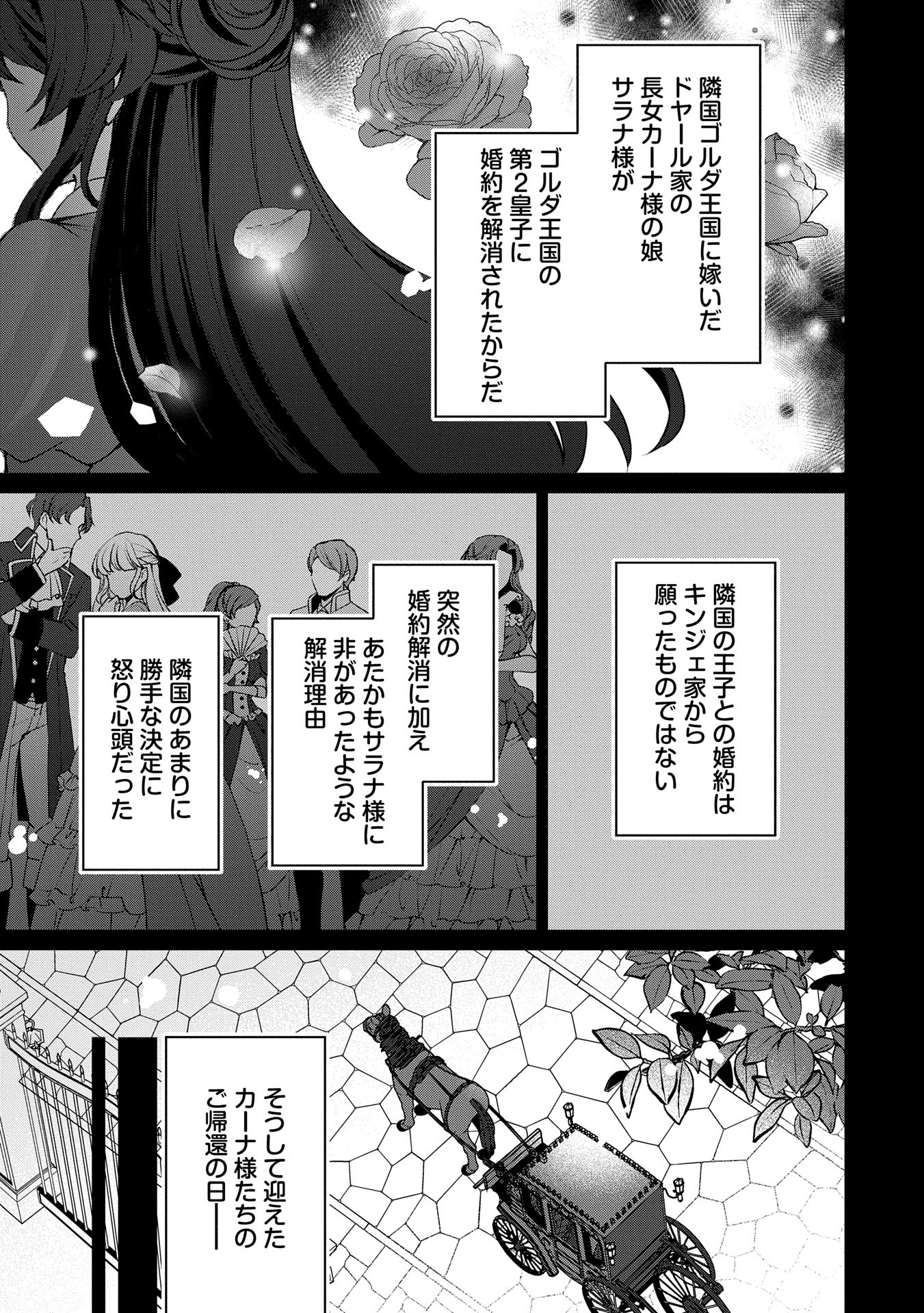 転生しました、サラナ・キンジェです。ごきげんよう。 ～優雅なスローライフで大忙し～ - 第7話 - Page 7