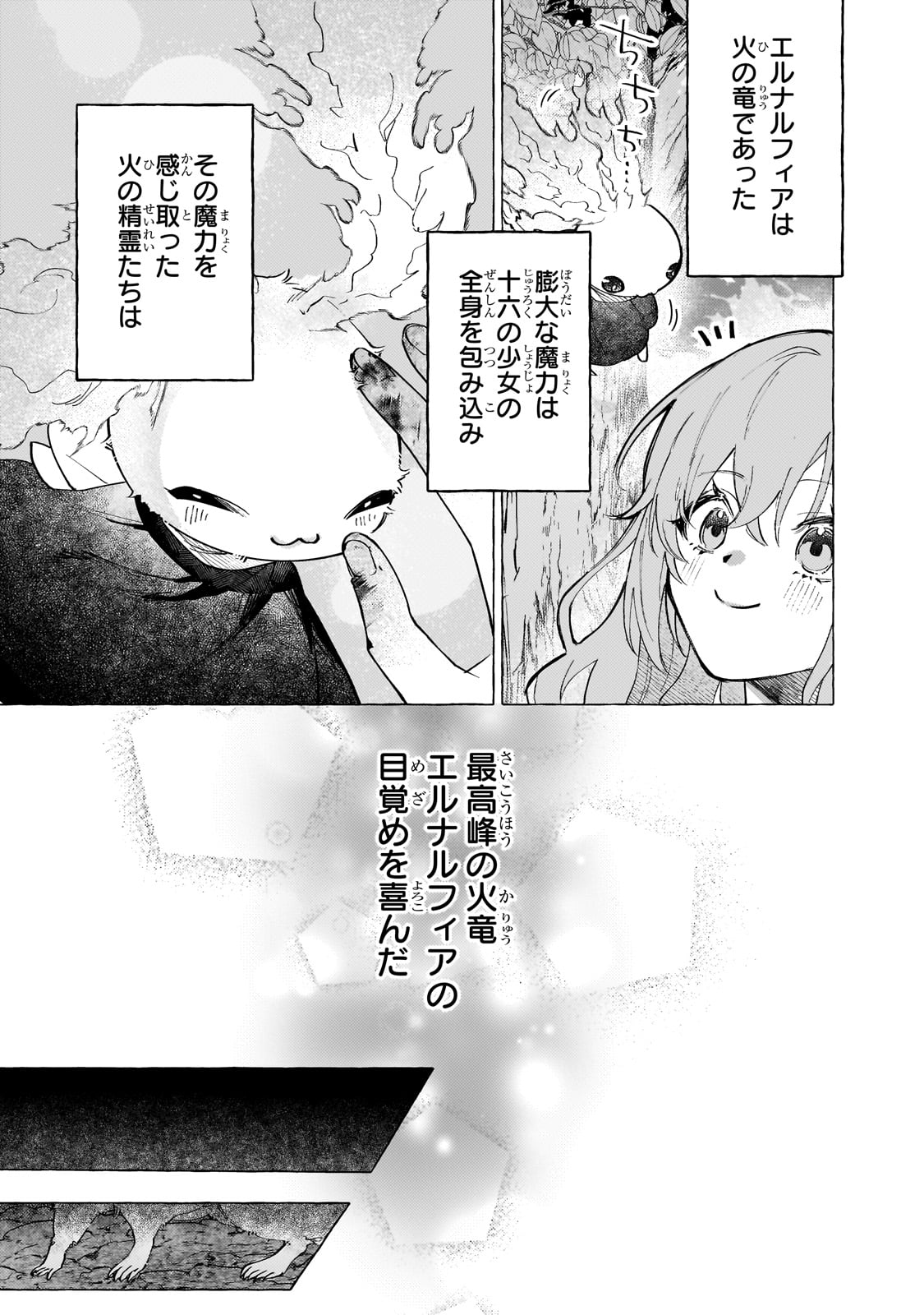 ウィズレイン王国物語 ～竜が花嫁～ - 第1話 - Page 29