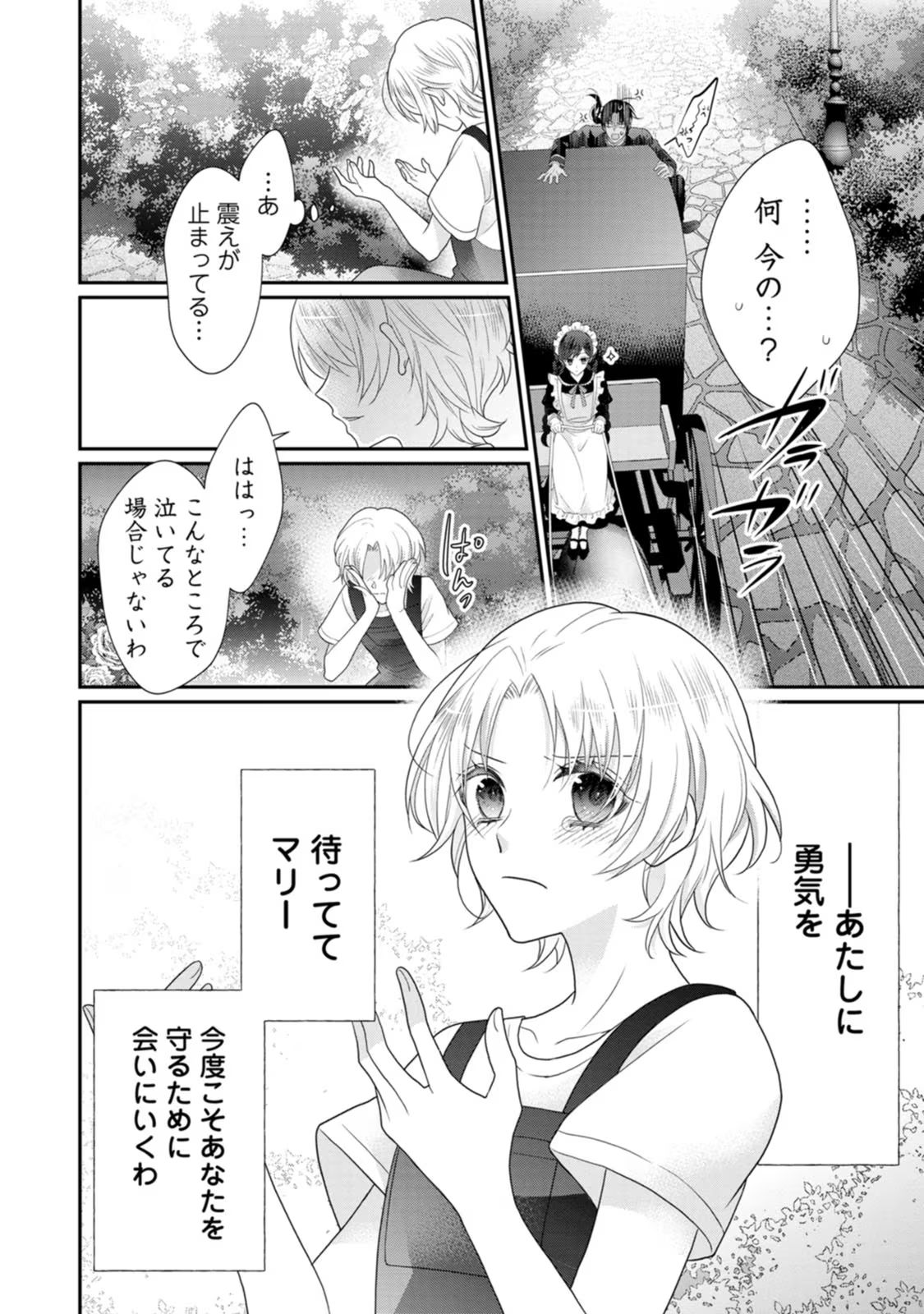 ずたぼろ令嬢は姉の元婚約者に溺愛される - 第30話 - Page 14