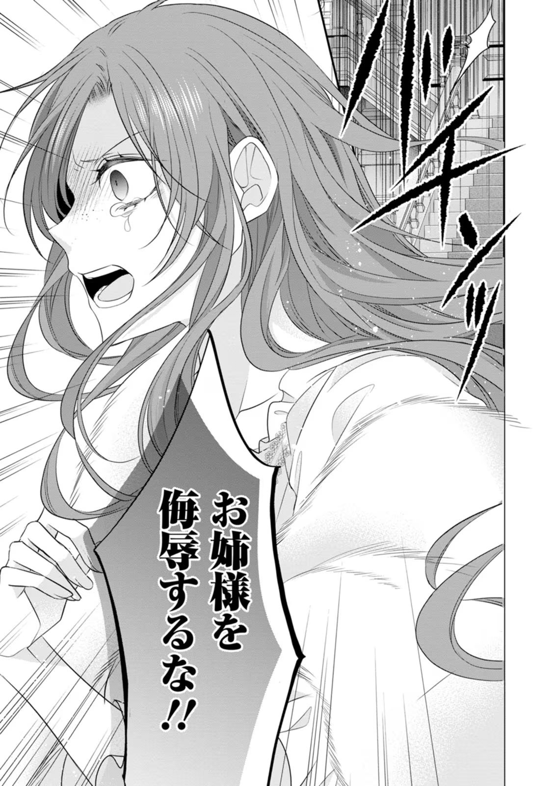 ずたぼろ令嬢は姉の元婚約者に溺愛される - 第21話 - Page 17