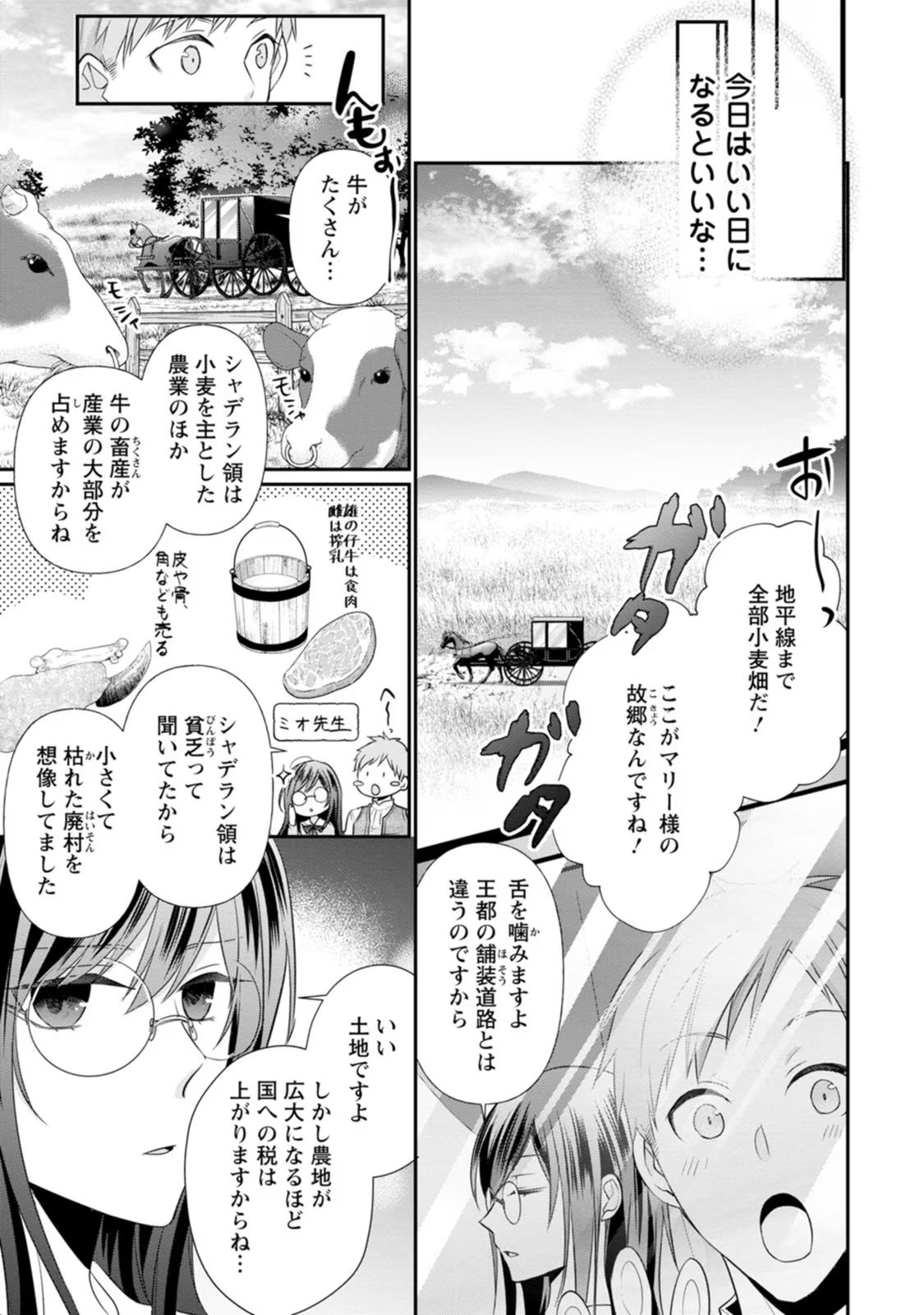 ずたぼろ令嬢は姉の元婚約者に溺愛される - 第16話 - Page 15