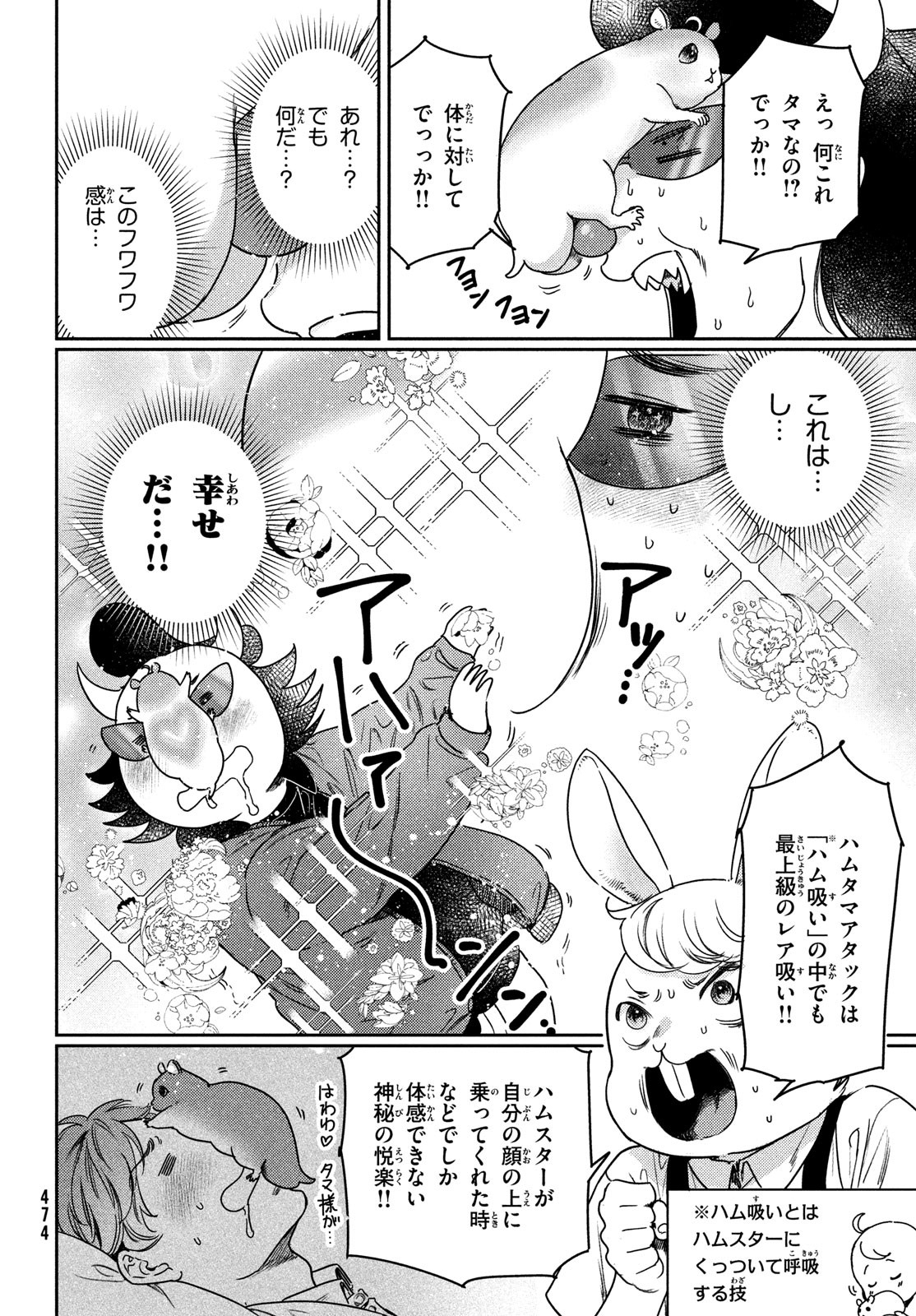 しかのこのこのここしたんたん - 第33話 - Page 31