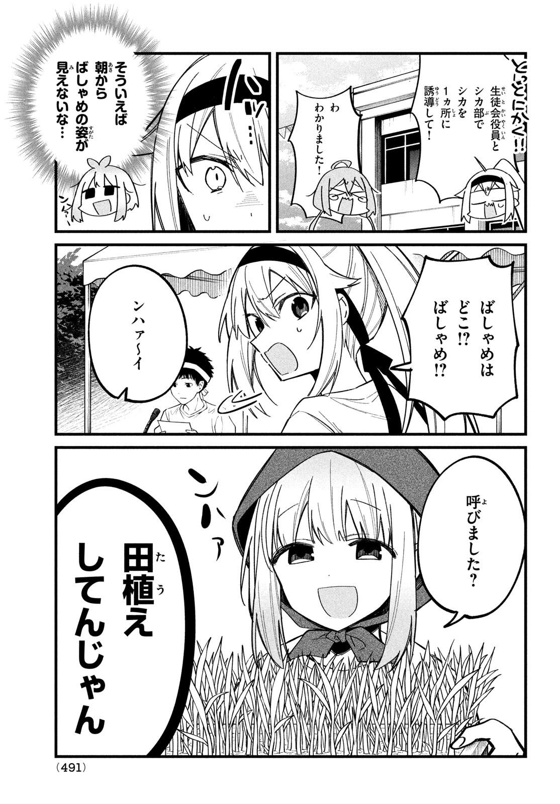 しかのこのこのここしたんたん - 第26話 - Page 13