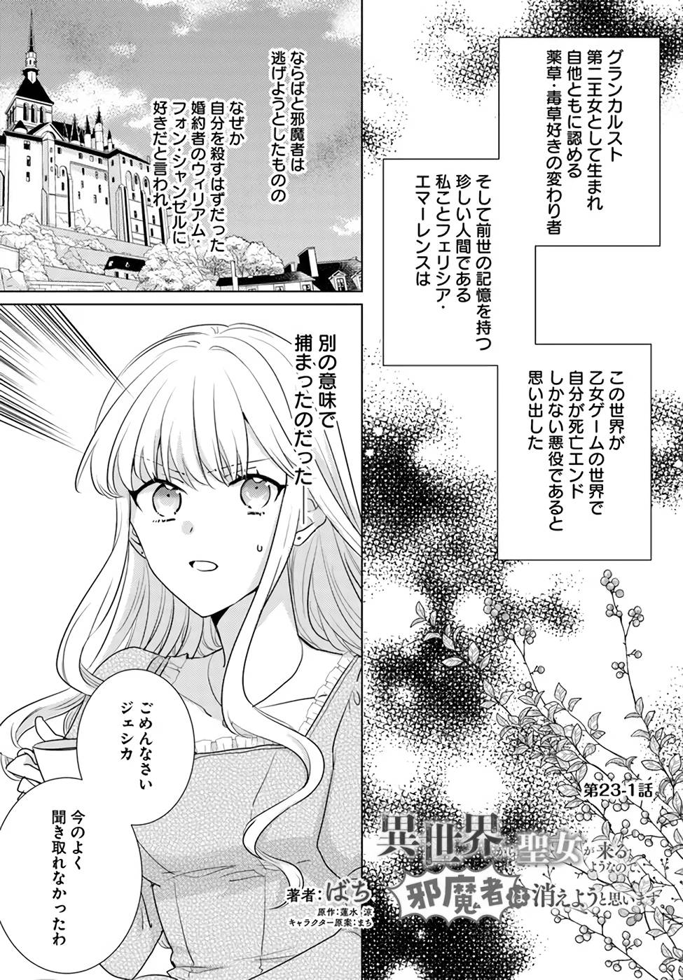 異世界から聖女が来るようなので、邪魔者は消えようと思います - 第23話 - Page 1