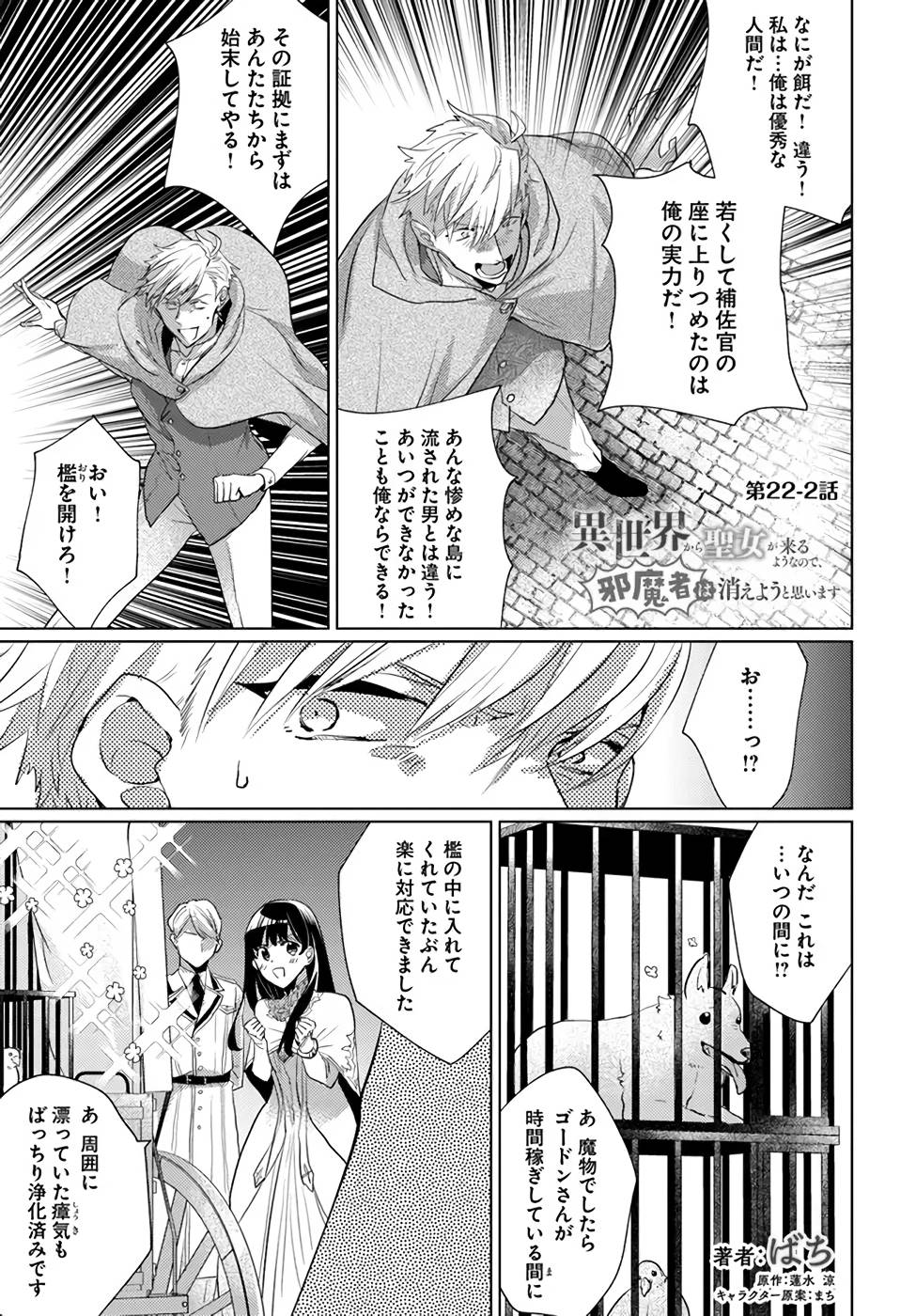 異世界から聖女が来るようなので、邪魔者は消えようと思います - 第22話 - Page 11