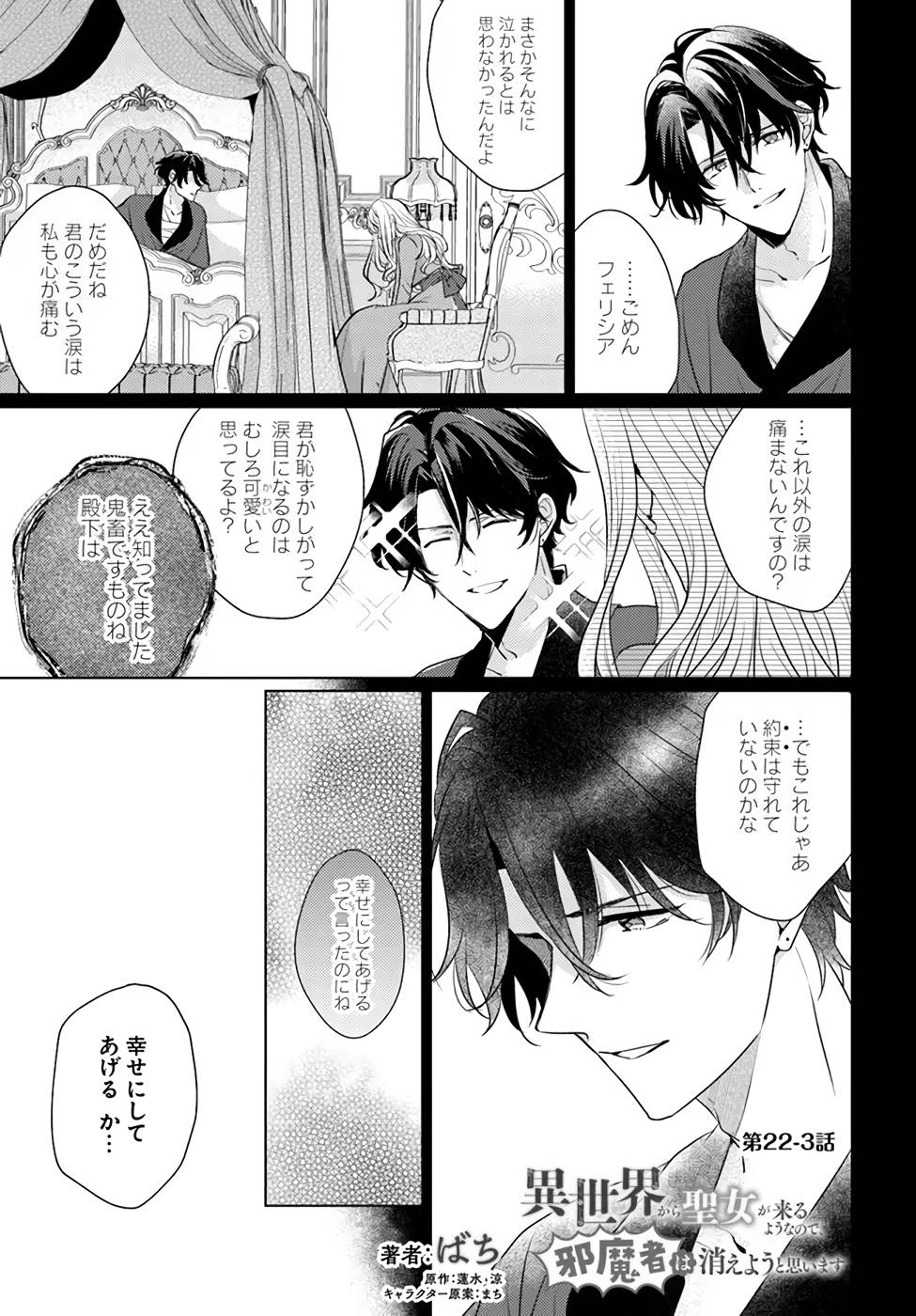 異世界から聖女が来るようなので、邪魔者は消えようと思います - 第22話 - Page 17