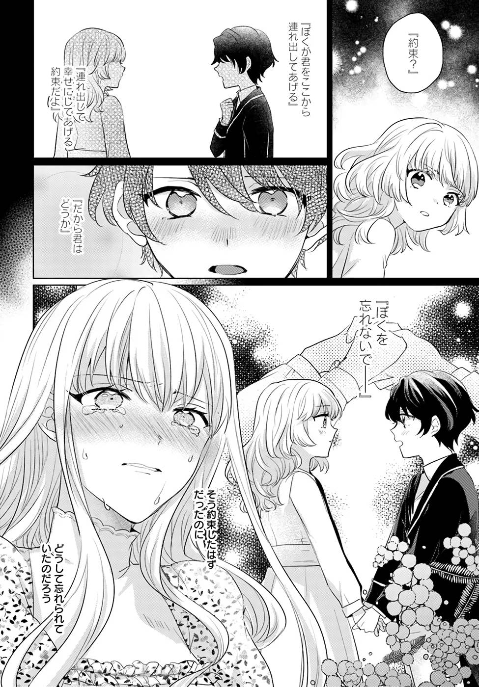 異世界から聖女が来るようなので、邪魔者は消えようと思います - 第22話 - Page 32