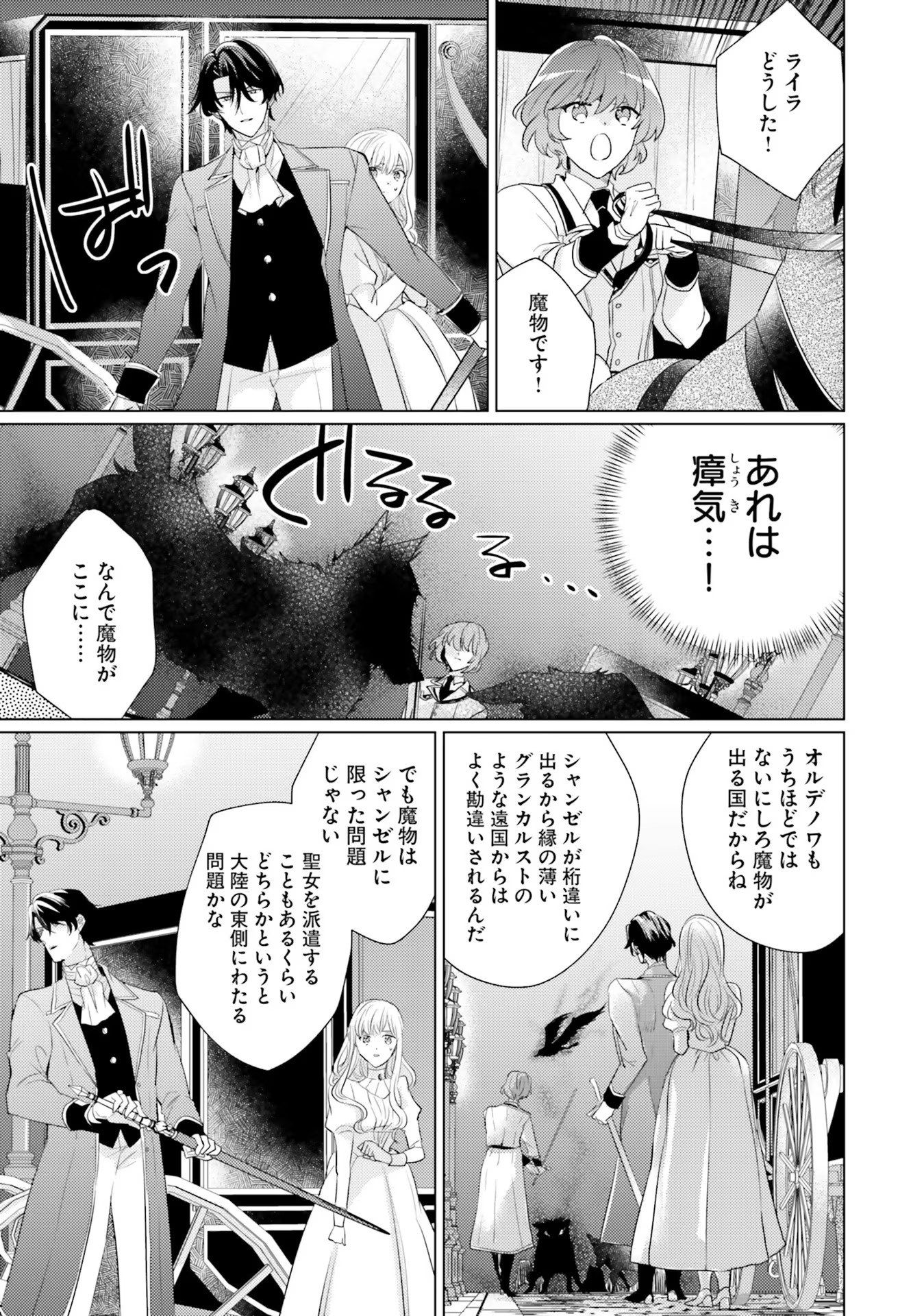 異世界から聖女が来るようなので、邪魔者は消えようと思います - 第20話 - Page 17