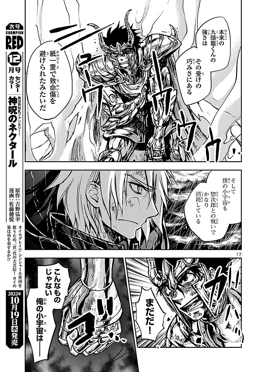 聖闘士星矢・冥王異伝 ダークウィング - 第18話 - Page 17