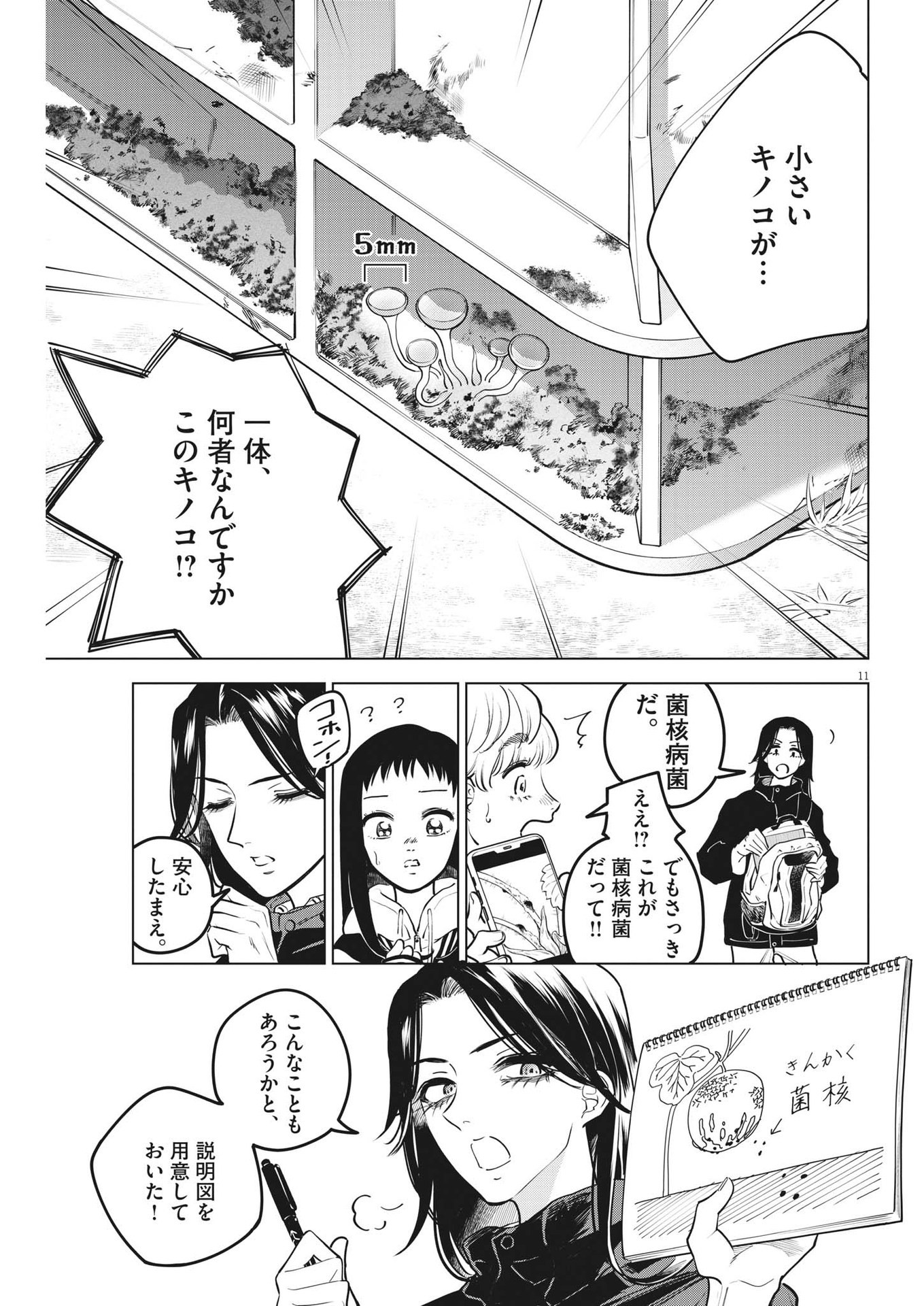 植物病理学は明日の君を願う - 第14話 - Page 11