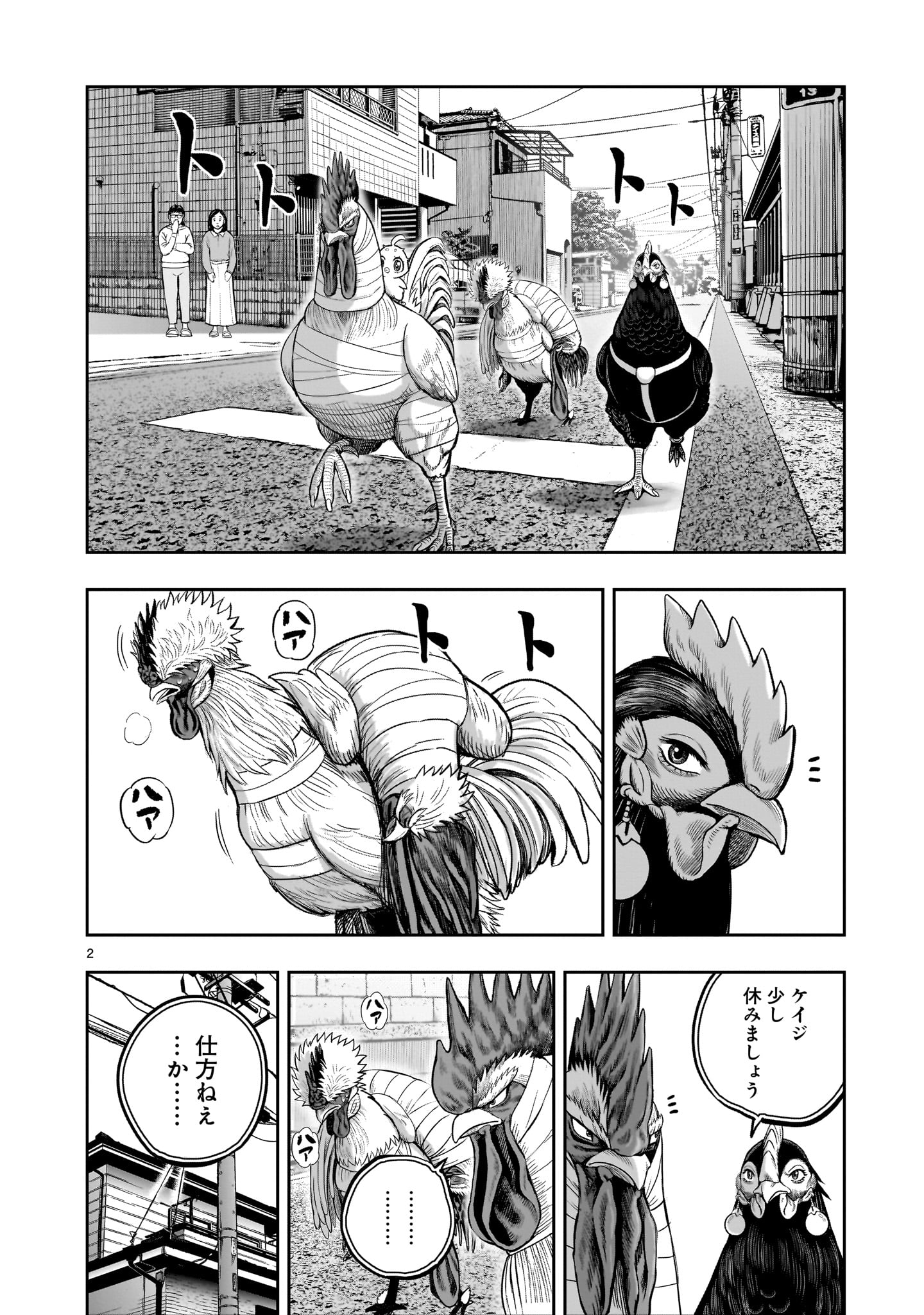 ニワトリ・ファイター - 第31話 - Page 2