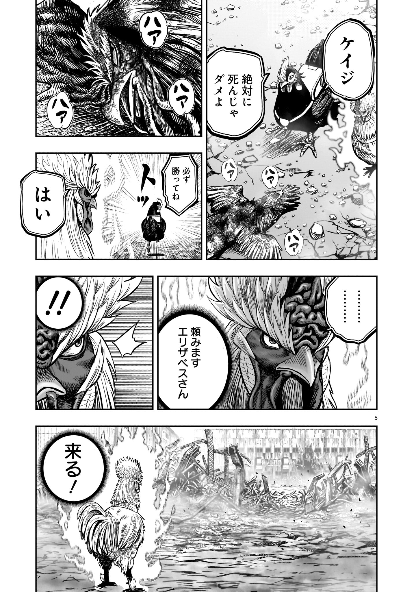 ニワトリ・ファイター - 第28話 - Page 5