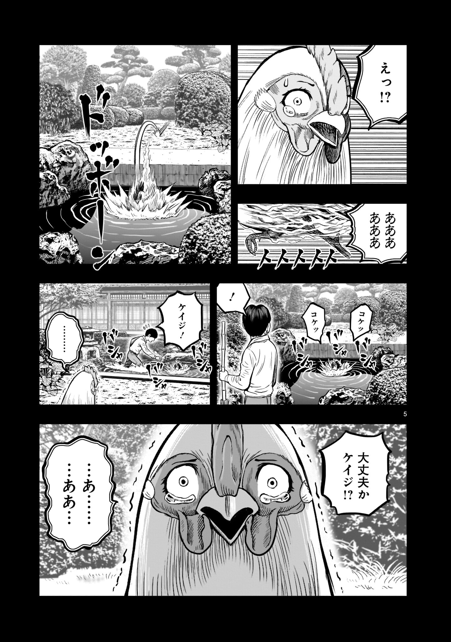 ニワトリ・ファイター - 第17話 - Page 5