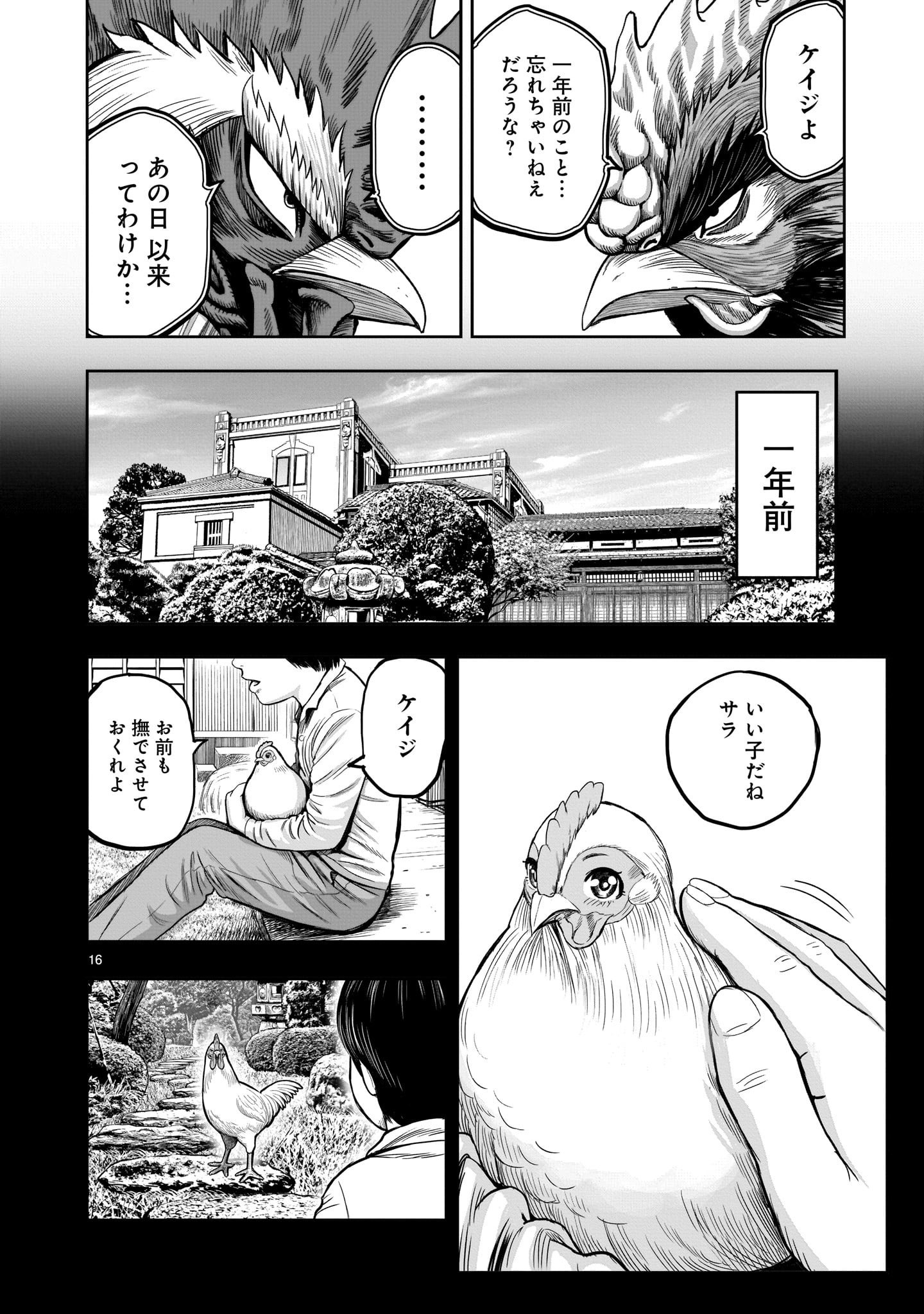 ニワトリ・ファイター - 第11話 - Page 16