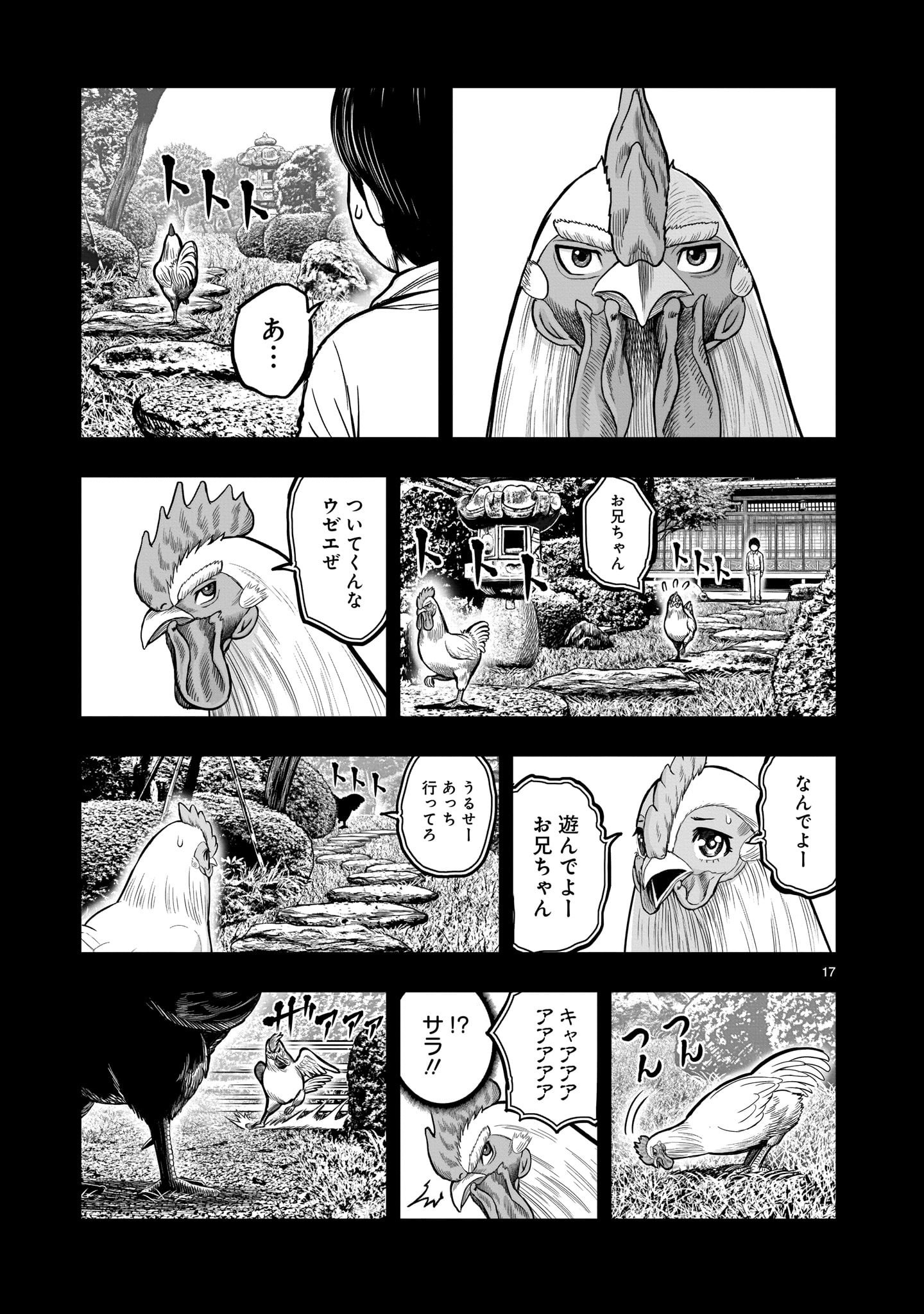 ニワトリ・ファイター - 第11話 - Page 17