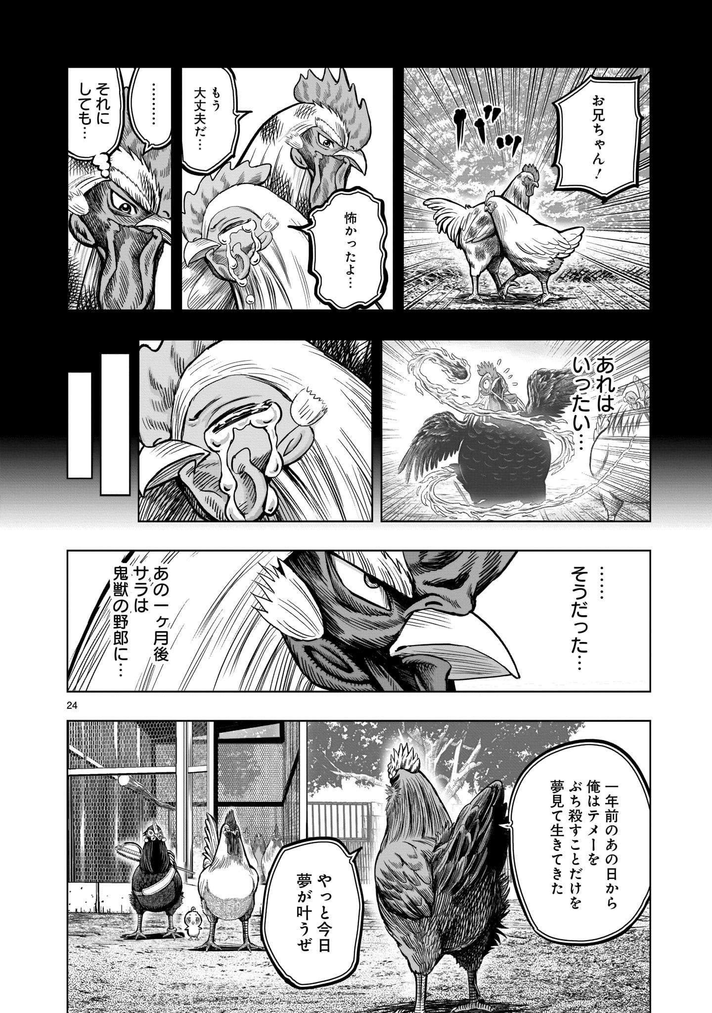 ニワトリ・ファイター - 第11話 - Page 24