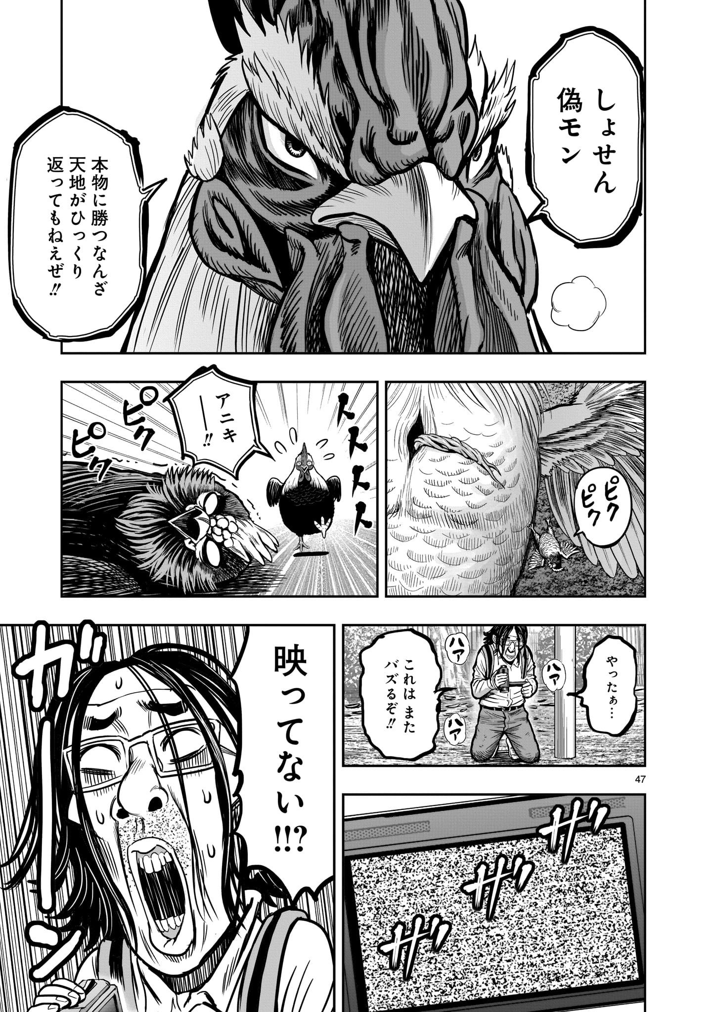 ニワトリ・ファイター - 第11話 - Page 47