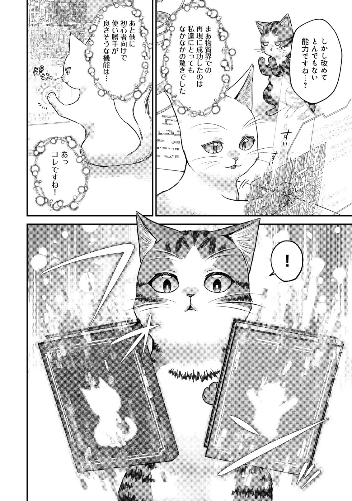 我輩は猫魔導師である～キジトラ・ルークの快適チート猫生活～ 第10.1話 - Trang 10