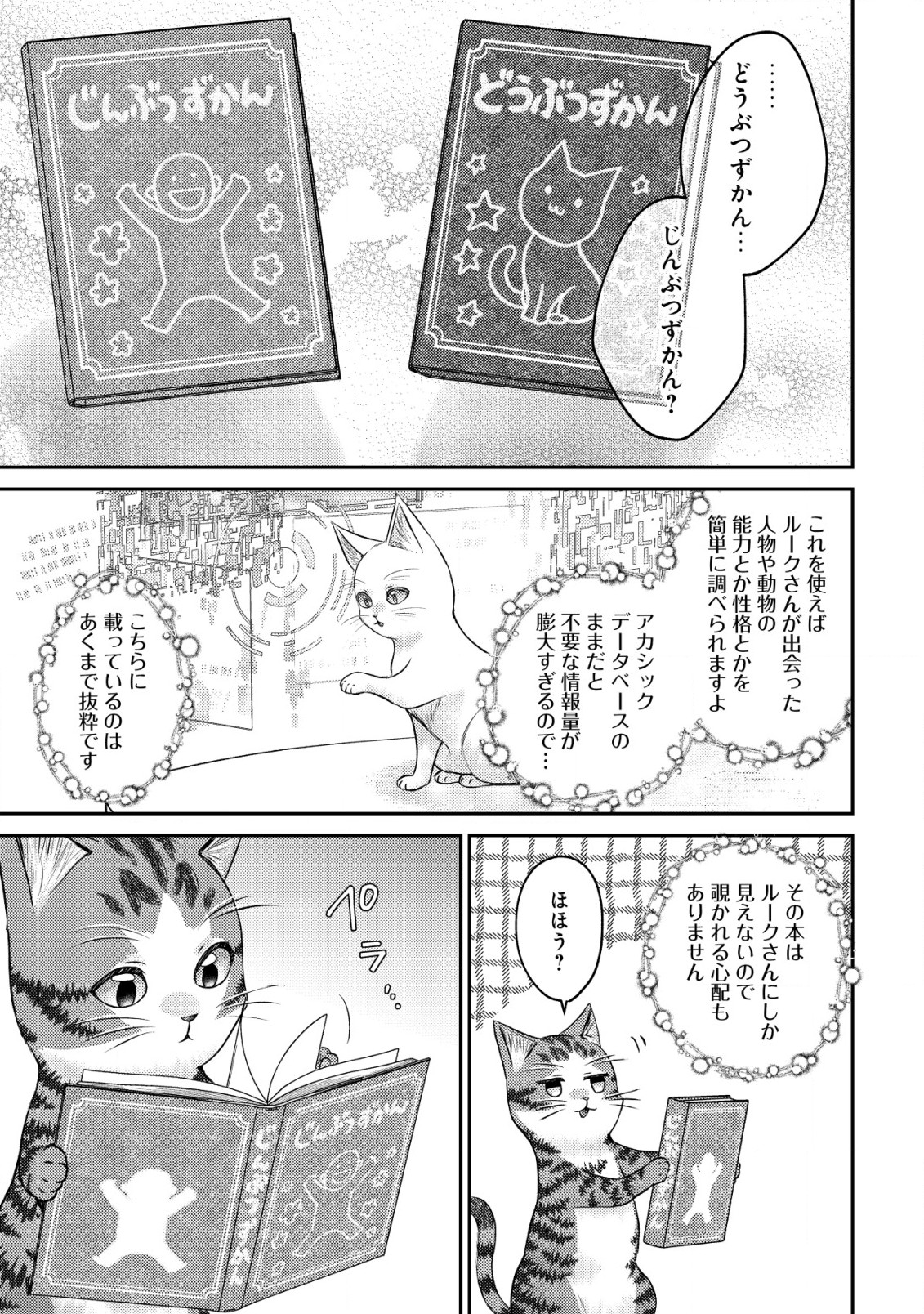 我輩は猫魔導師である～キジトラ・ルークの快適チート猫生活～ 第10.1話 - Trang 11