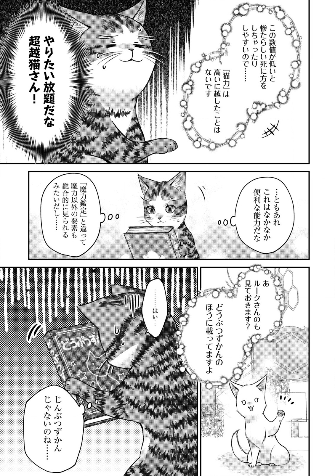 我輩は猫魔導師である～キジトラ・ルークの快適チート猫生活～ 第10.1話 - Trang 15