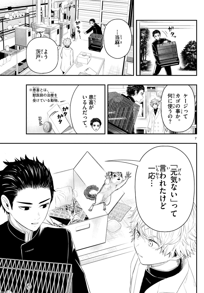 ラストカルテ　―法獣医学者 当麻健匠の記憶― 第3話 - Trang 7