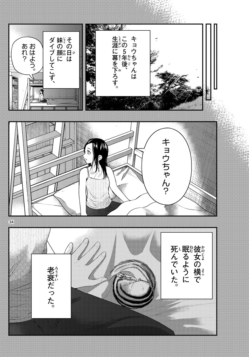 ラストカルテ　―法獣医学者 当麻健匠の記憶― 第3話 - Trang 34