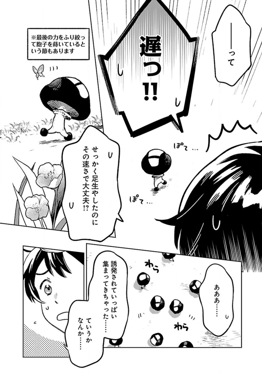 異世界のんびり素材採取生活 - 第16話 - Page 12
