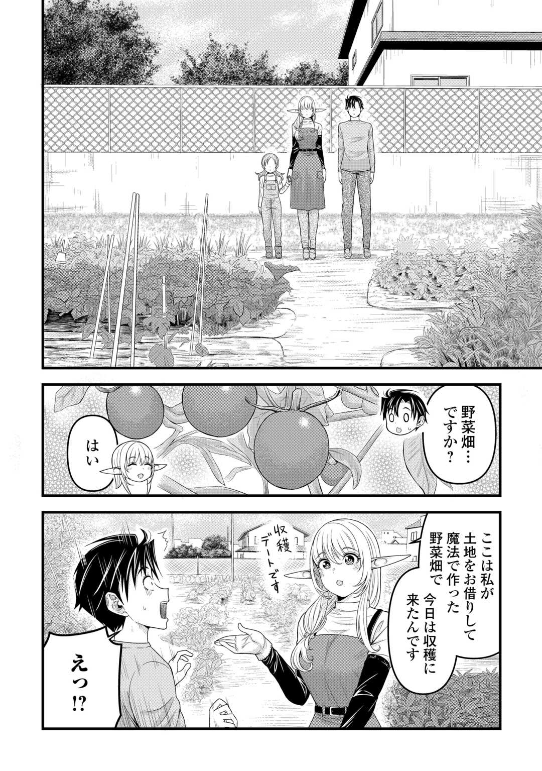 異世界からエルフさんが落ちてきたのですが!? - 第6話 - Page 10