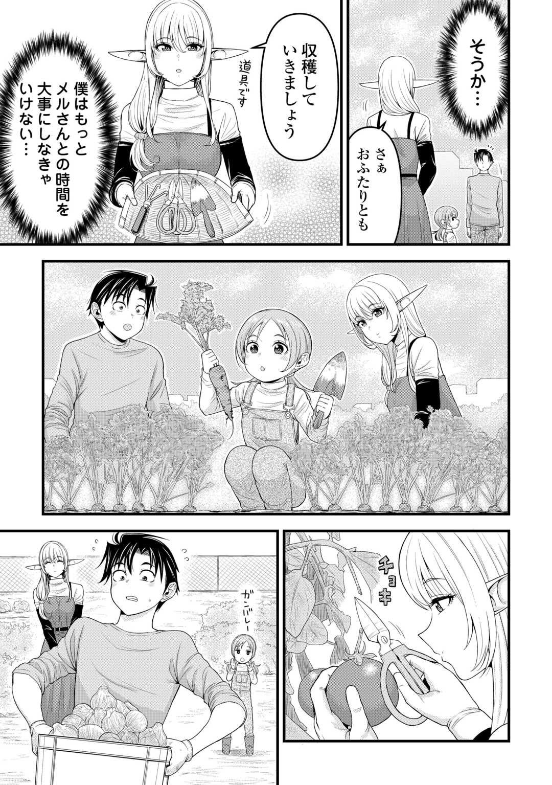 異世界からエルフさんが落ちてきたのですが!? - 第6話 - Page 13