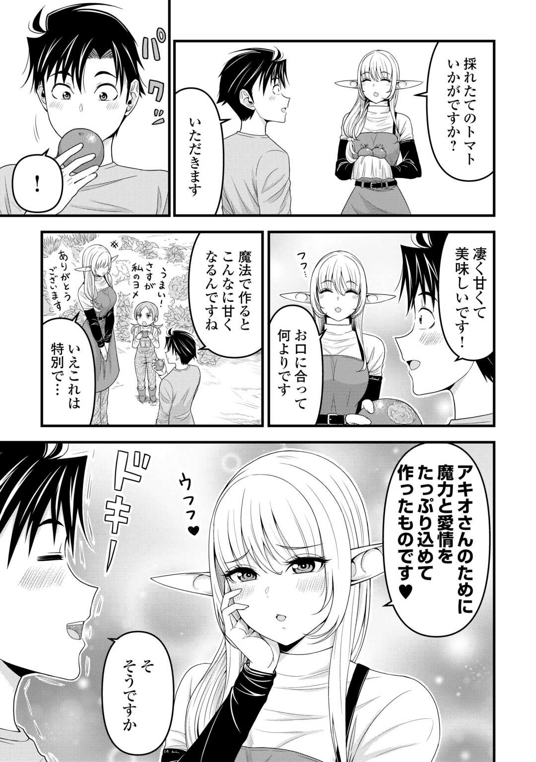 異世界からエルフさんが落ちてきたのですが!? - 第6話 - Page 15