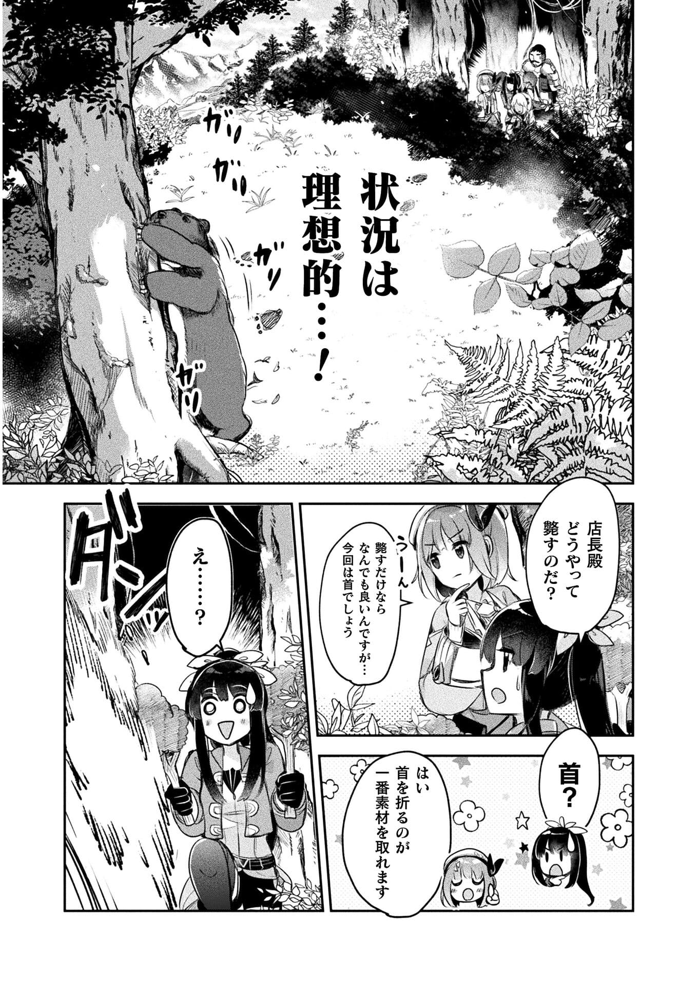 新米錬金術師の店舗経営 - 第11話 - Page 21