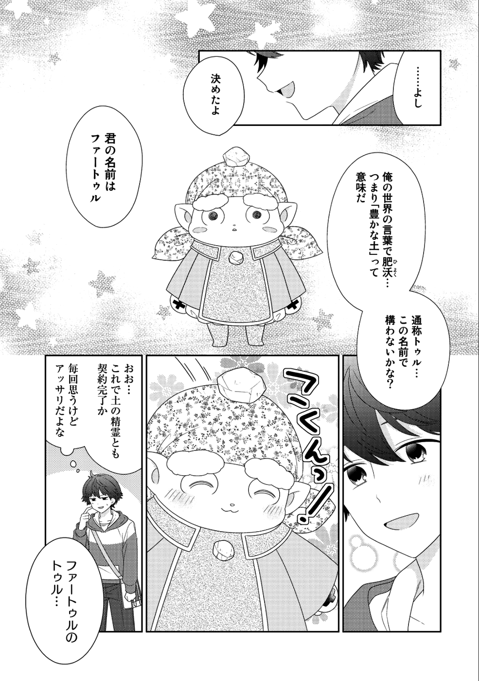 精霊達の楽園と理想の異世界生活 - 第11話 - Page 17