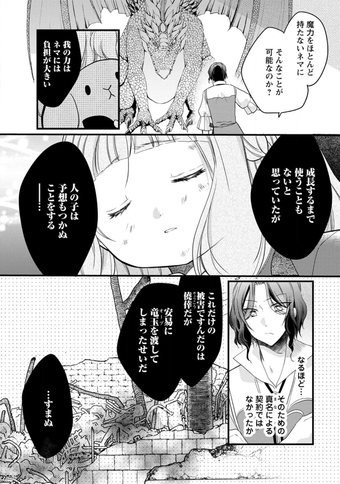 異世界でもふもふなでなでするためにがんばってます。 - 第51話 - Page 26