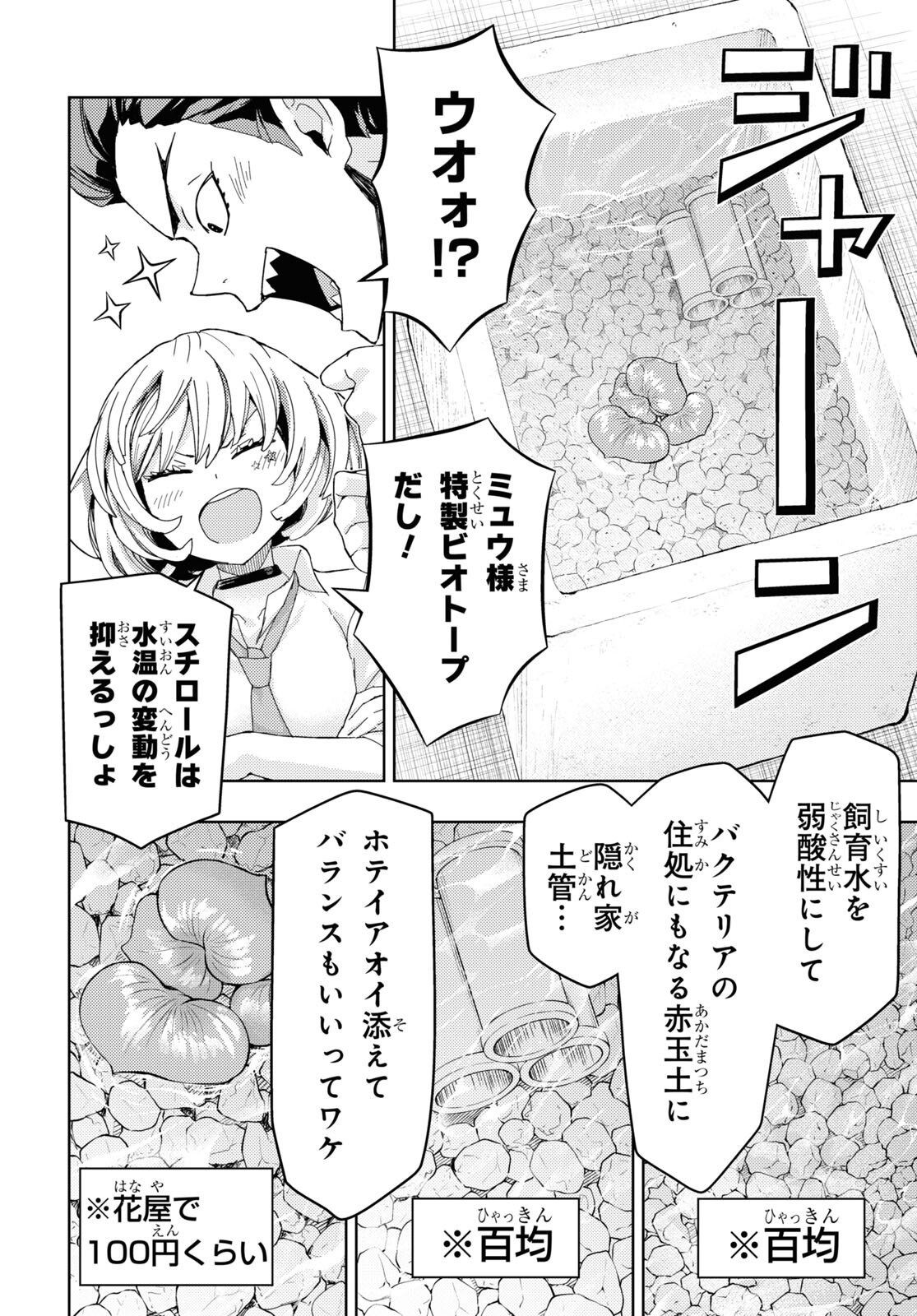 よう、アクアリスト - 第6話 - Page 12