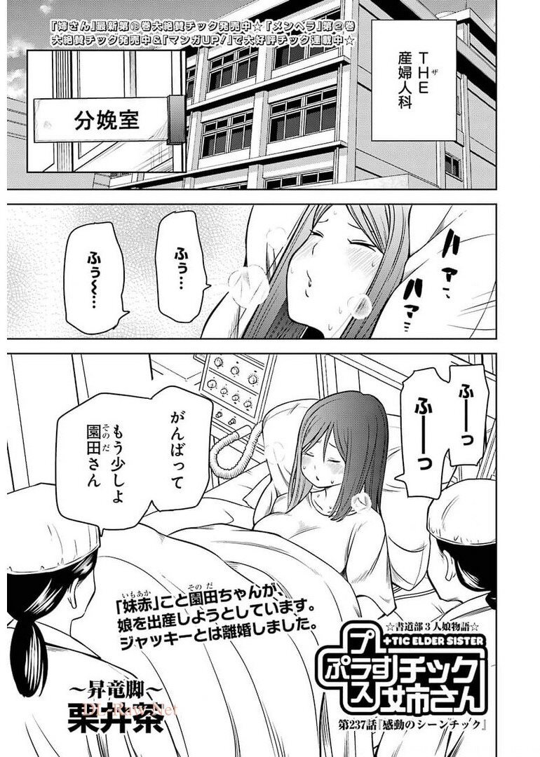 プラスチック姉さん - 第237話 - Page 1