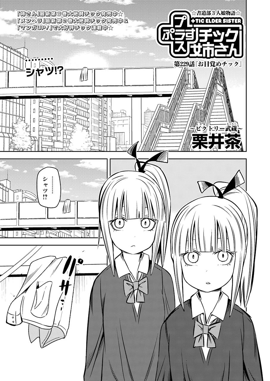 プラスチック姉さん - 第229話 - Page 1